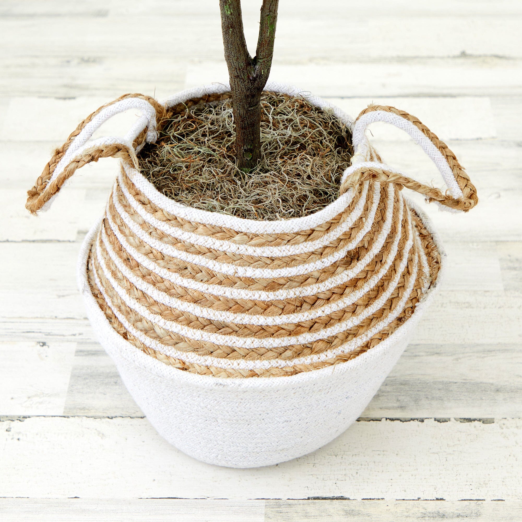 3' Artificial Fiddle Leaf Fig Tree with Handmade Cotton & Jute Woven Basket DIY Kit - Image 13