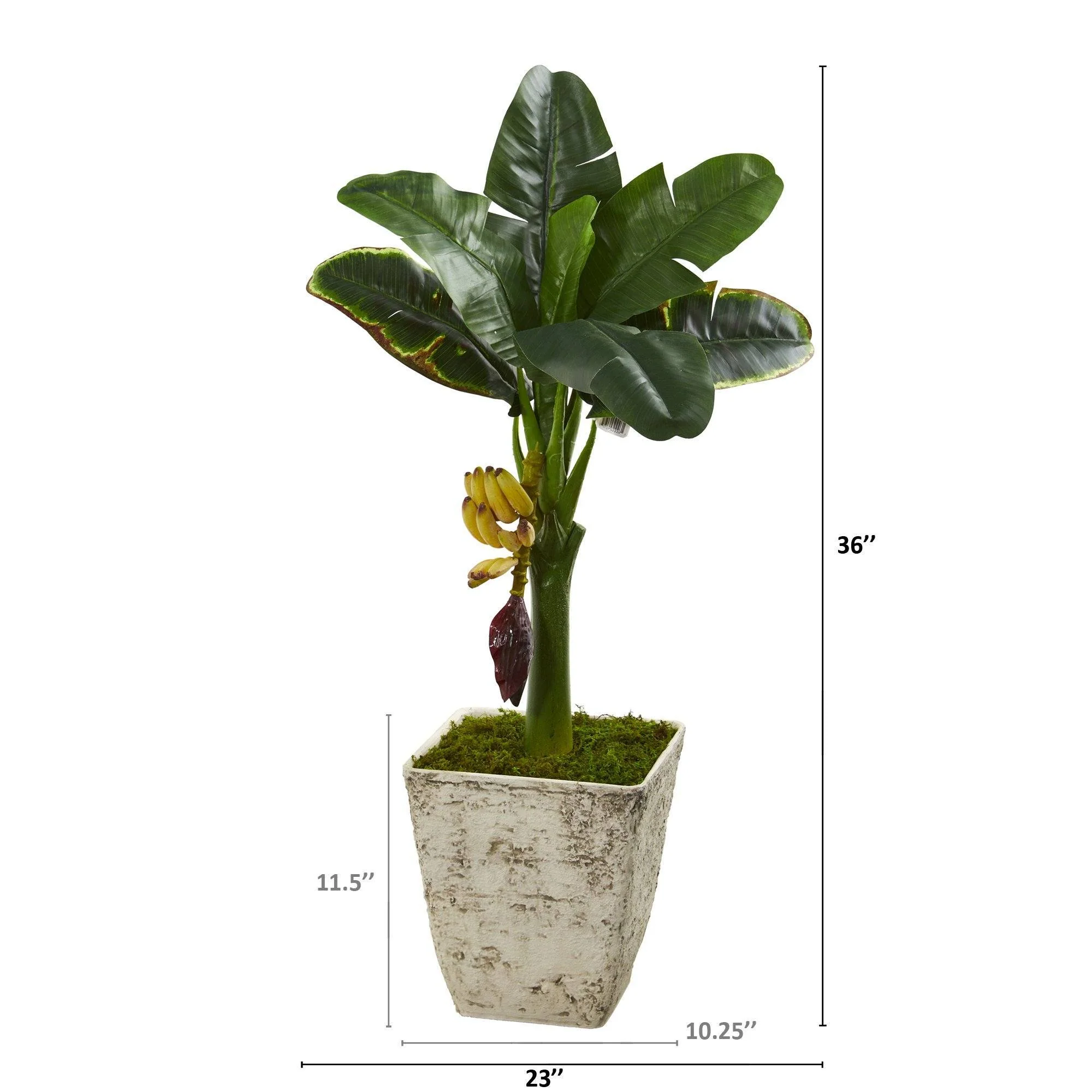 3’ Banana Artificial Tree in Country White Planter - Image 2
