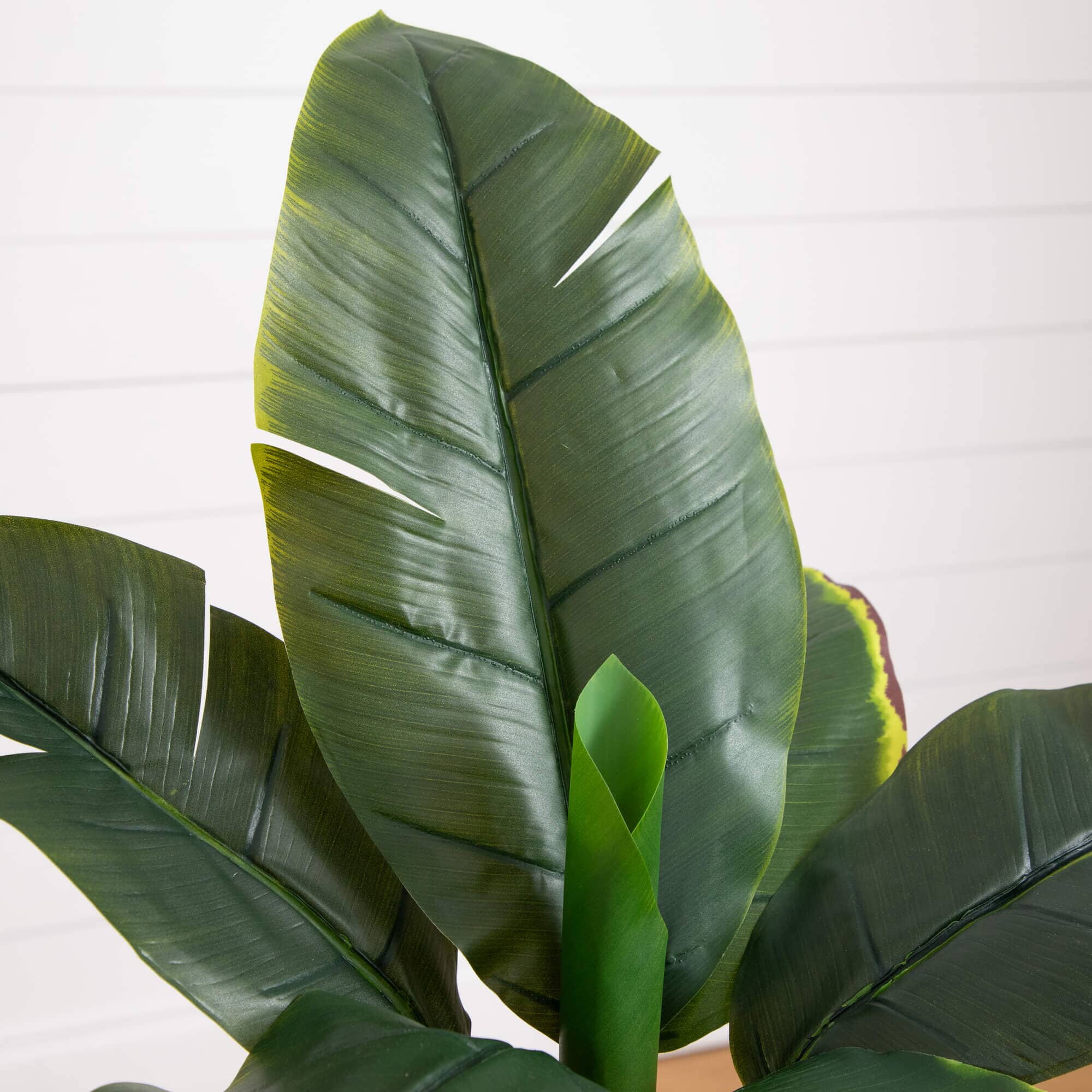 3’ Banana Artificial Tree in Terracotta Planter - Image 2