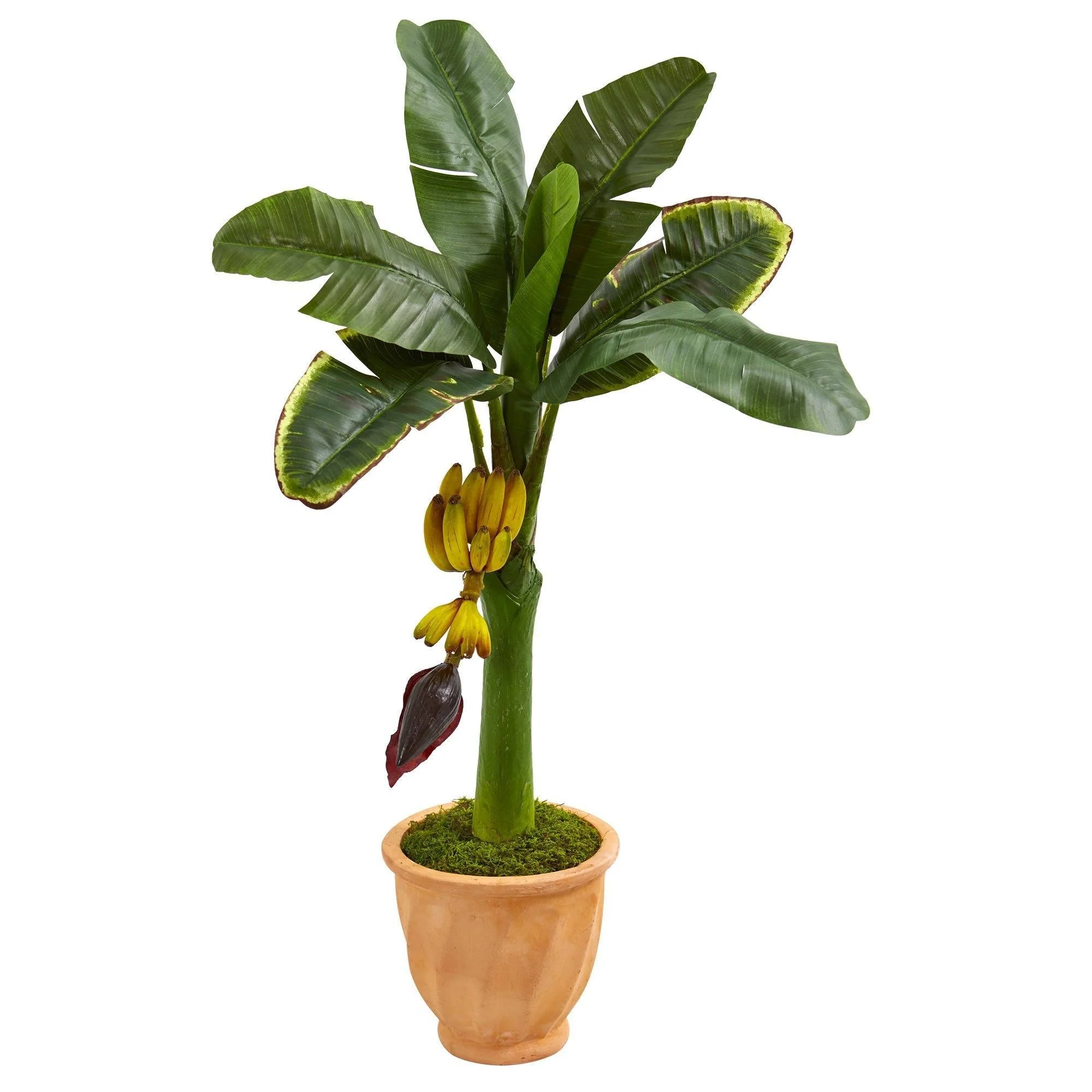3’ Banana Artificial Tree in Terracotta Planter - Image 6