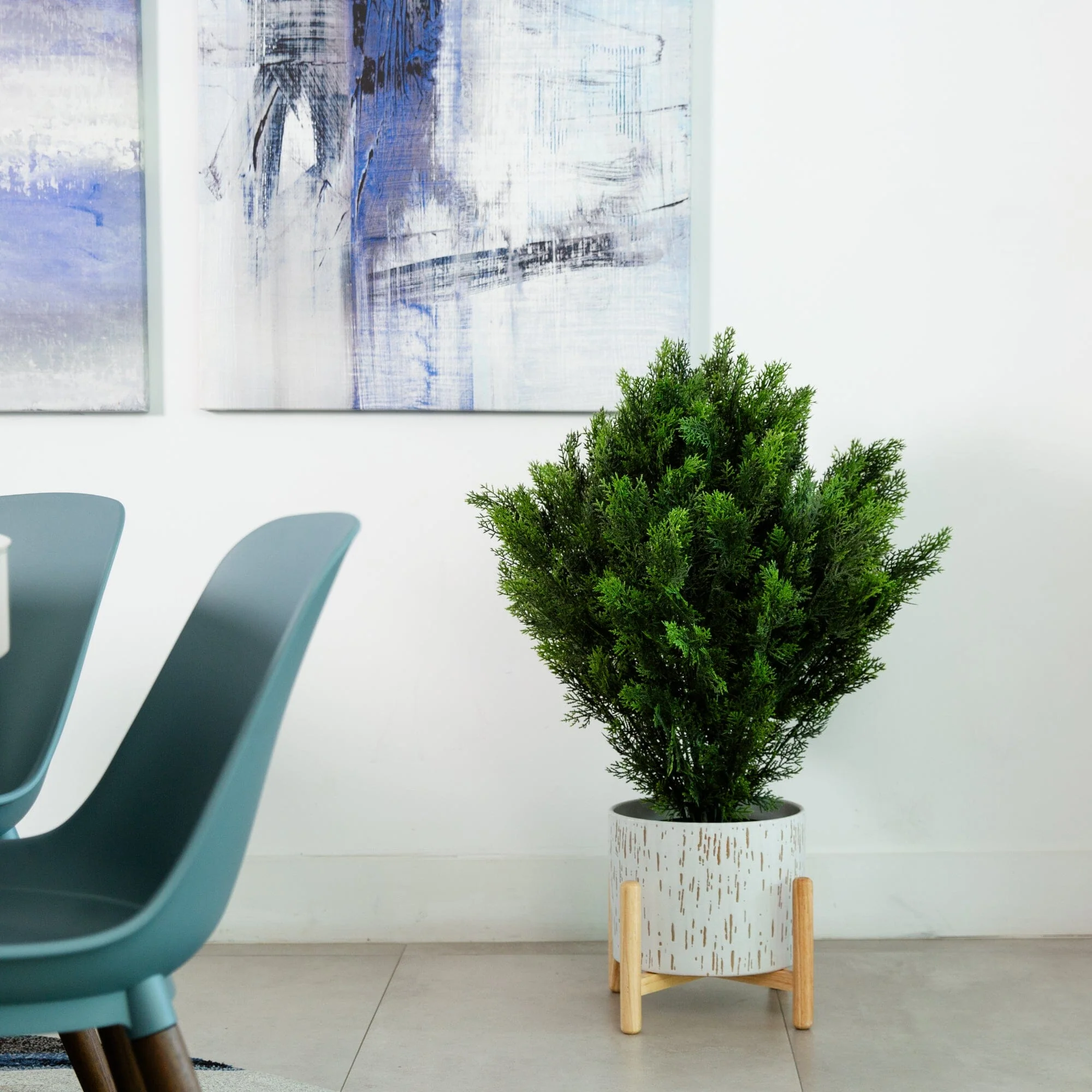 3’ Cedar Bush (Indoor/Outdoor) - Image 4