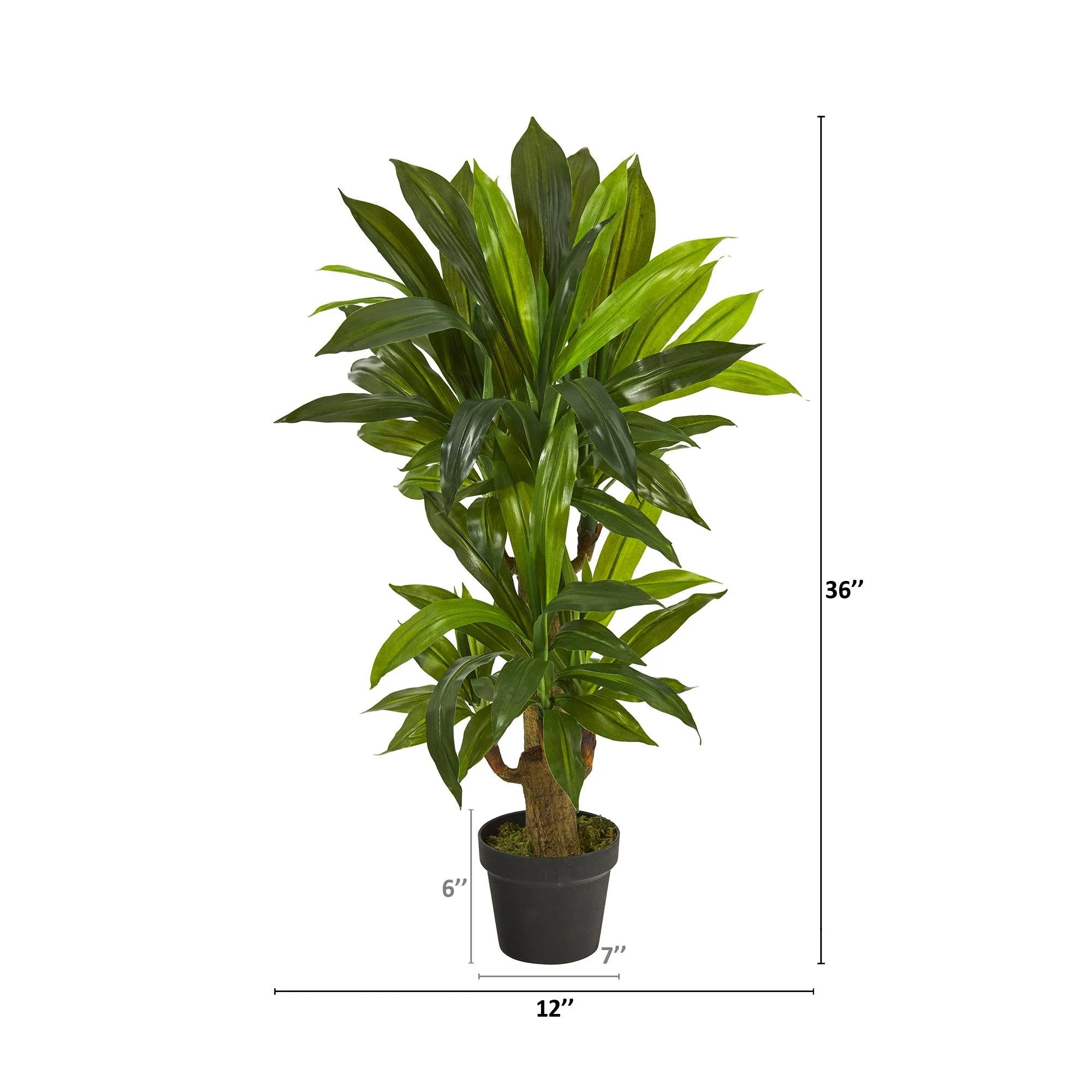 3' Corn Stalk Dracaena Artificial Plant (Real Touch) - Image 2