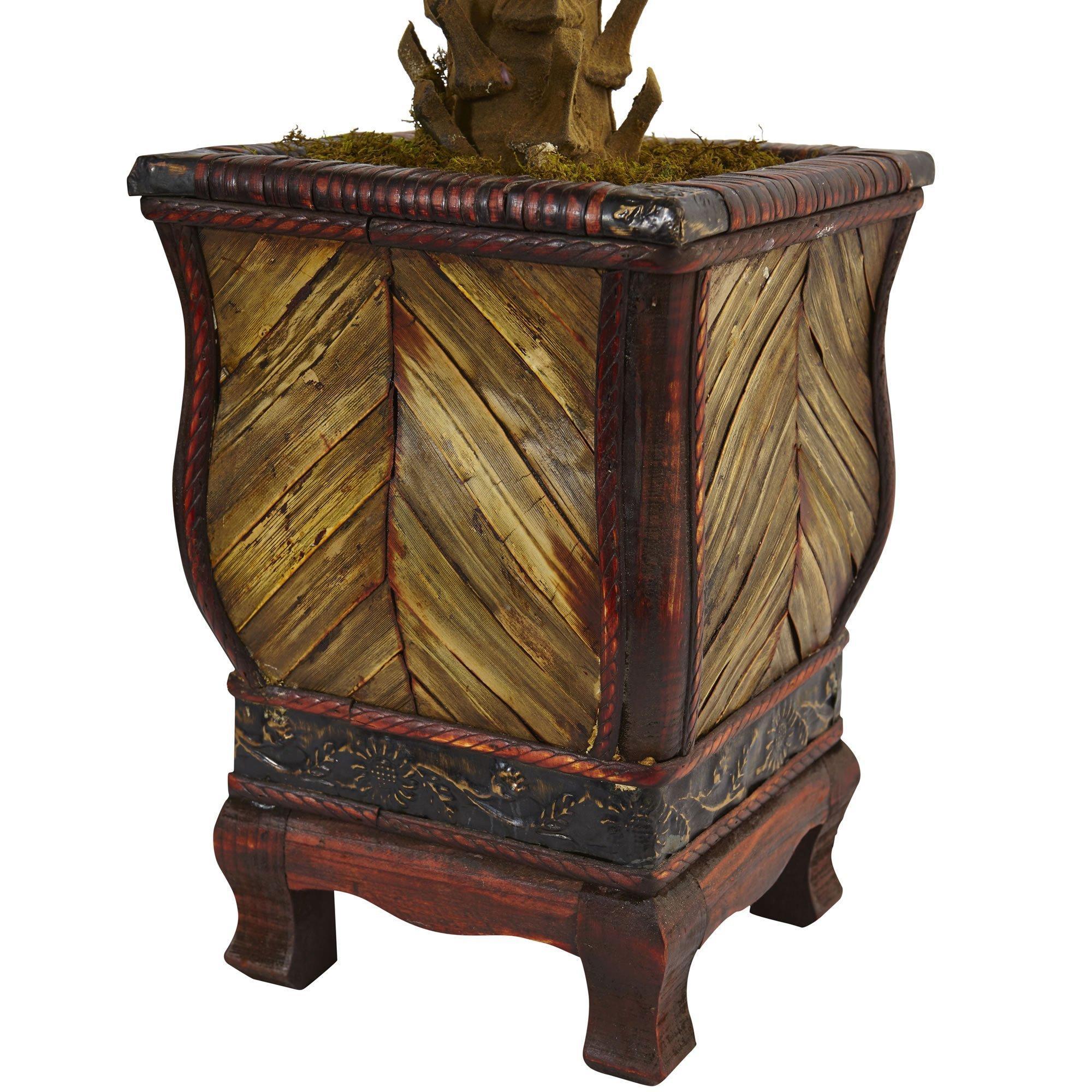 3’ Cycas Tree in Wood Planter - Image 4