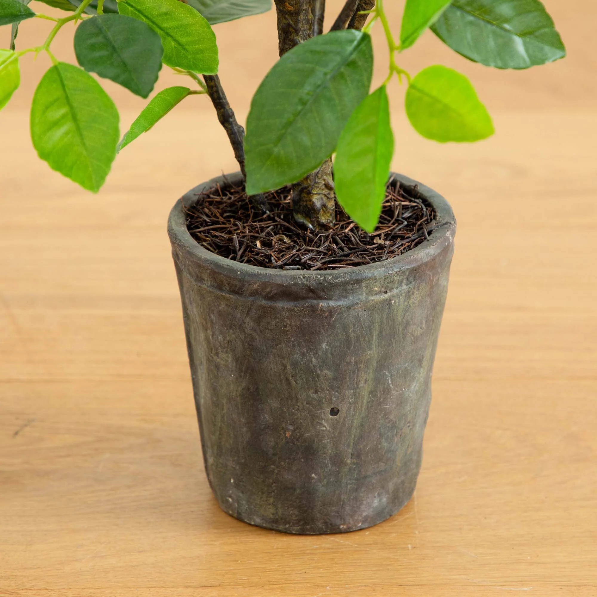3’ Ficus Artificial Tree in Planter - Image 4