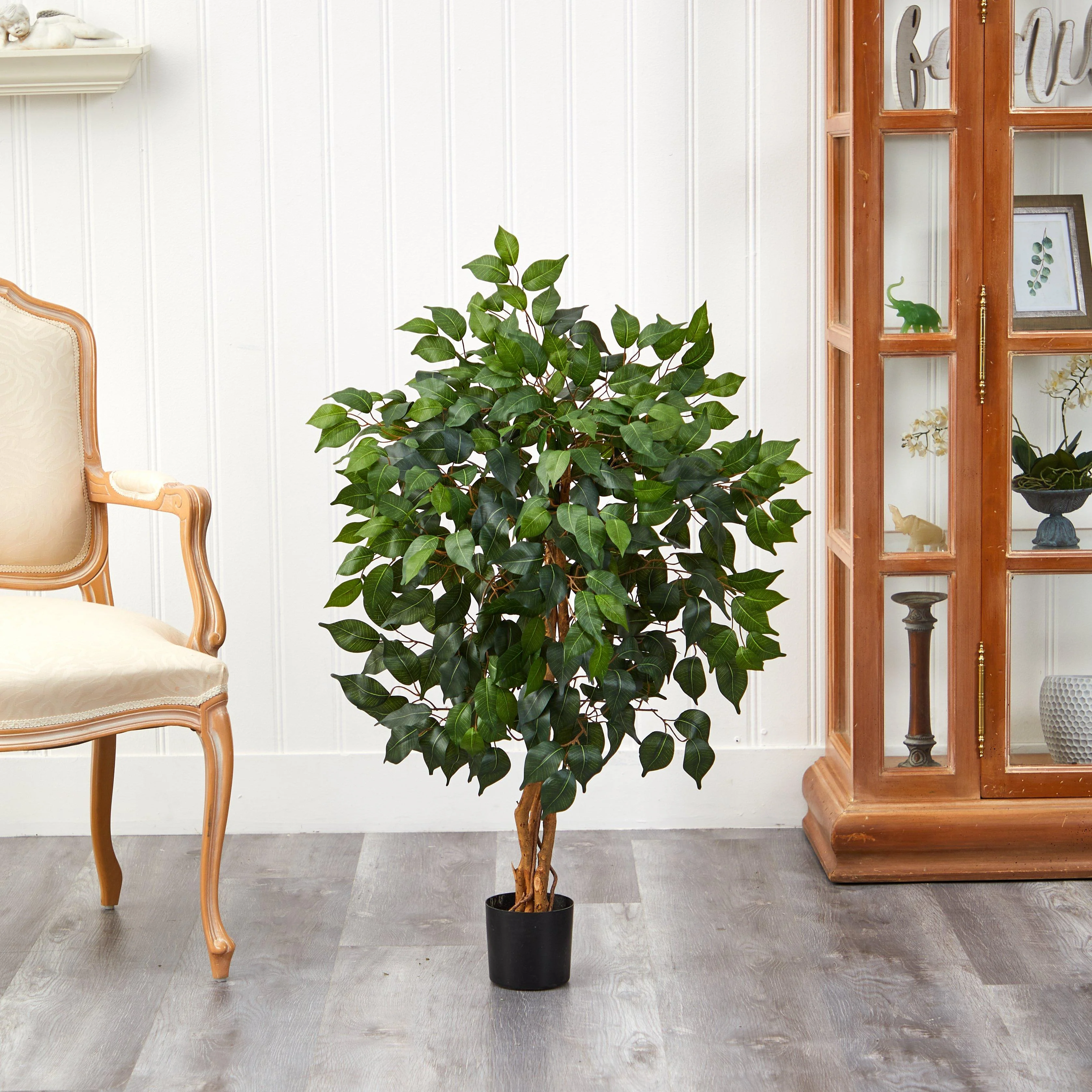3' Ficus Silk Tree - Image 4