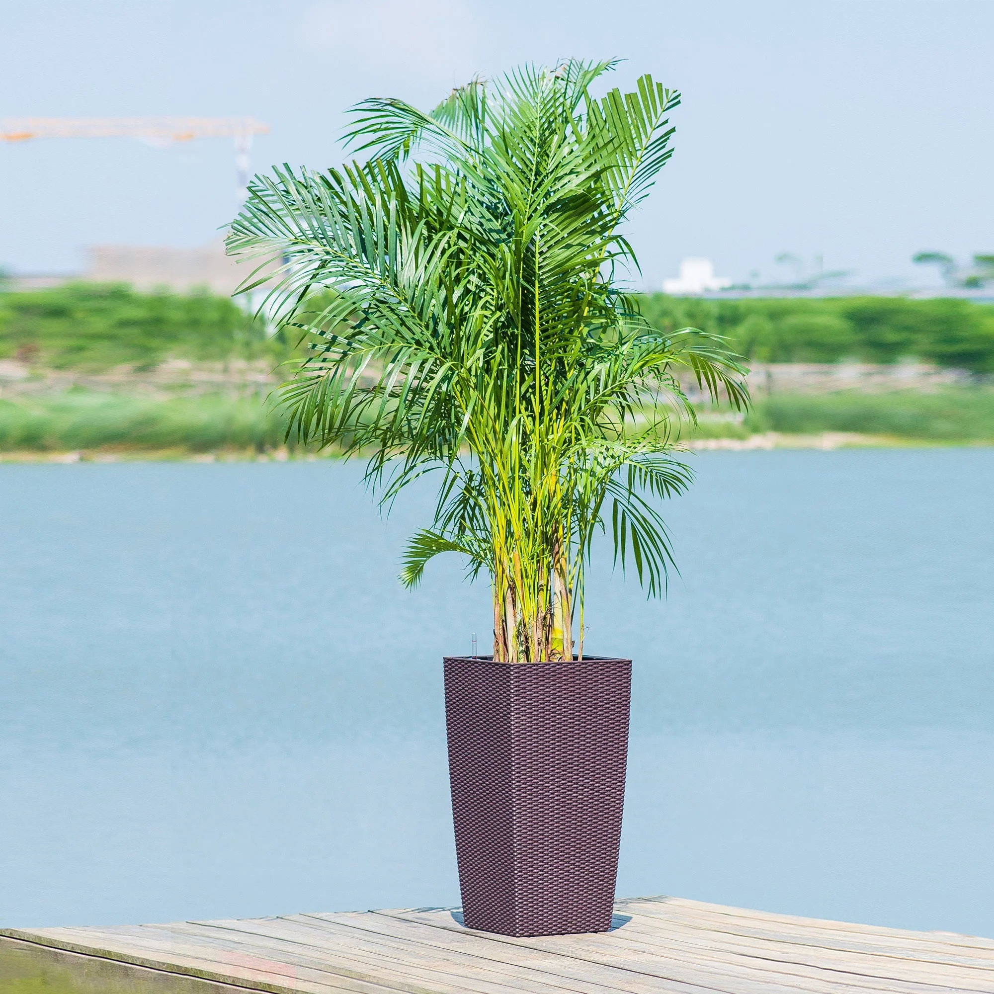 30 in Tall Large Flower Pot Planter with Self-Watering Drainage Holes - Image 16