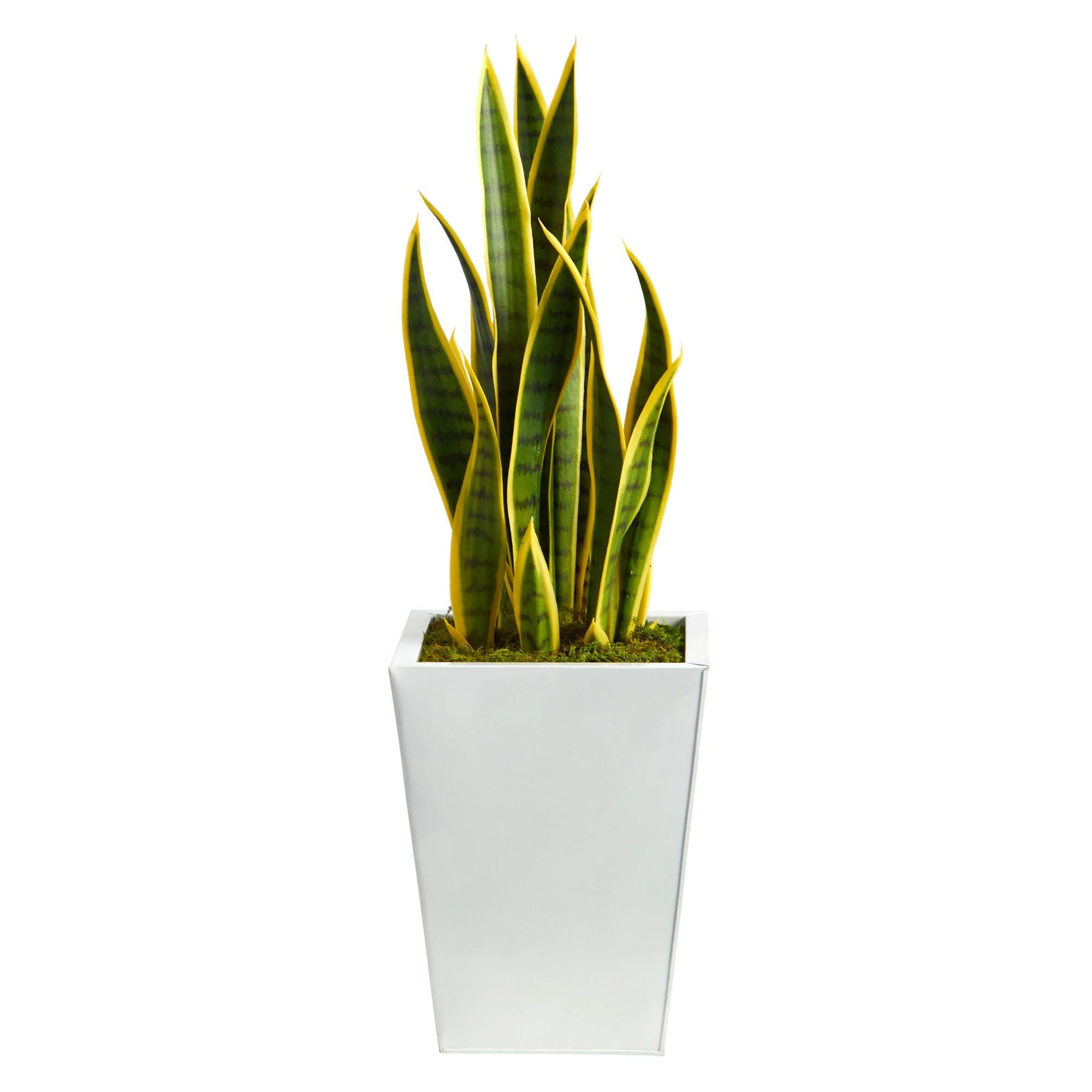 31” Sansevieria Artificial Plant in Black Metal Planter - Image 5