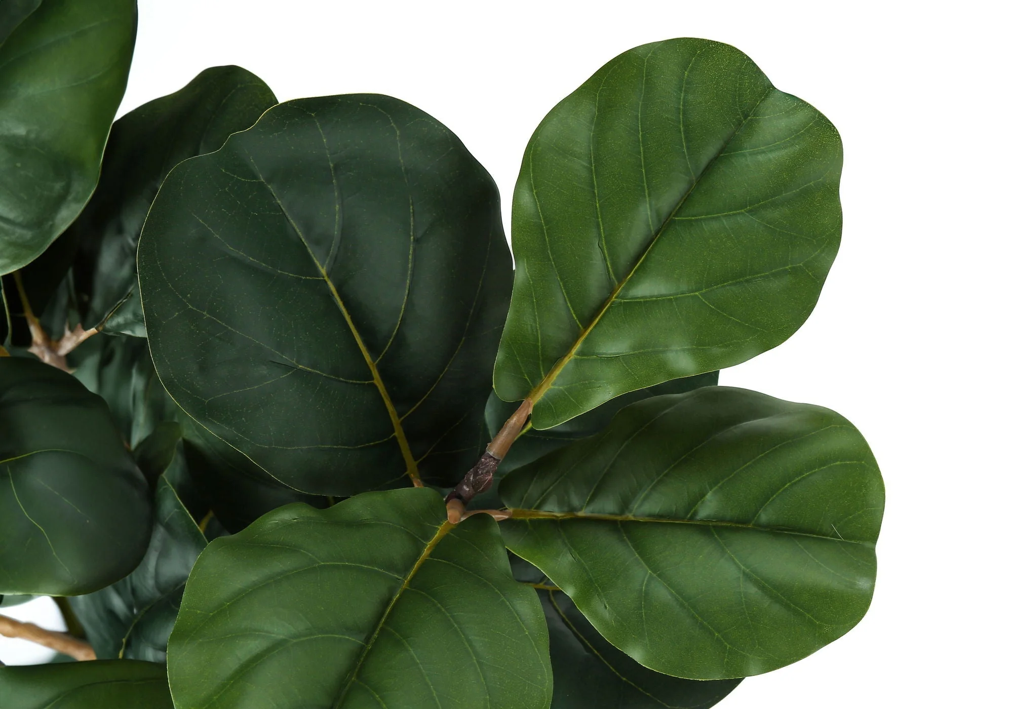 32" Tall, Artificial Plant, Fiddle Tree, Indoor, Faux, Fake, Floor, Greenery, Potted, Real Touch, Decorative - Green / Black - Image 2