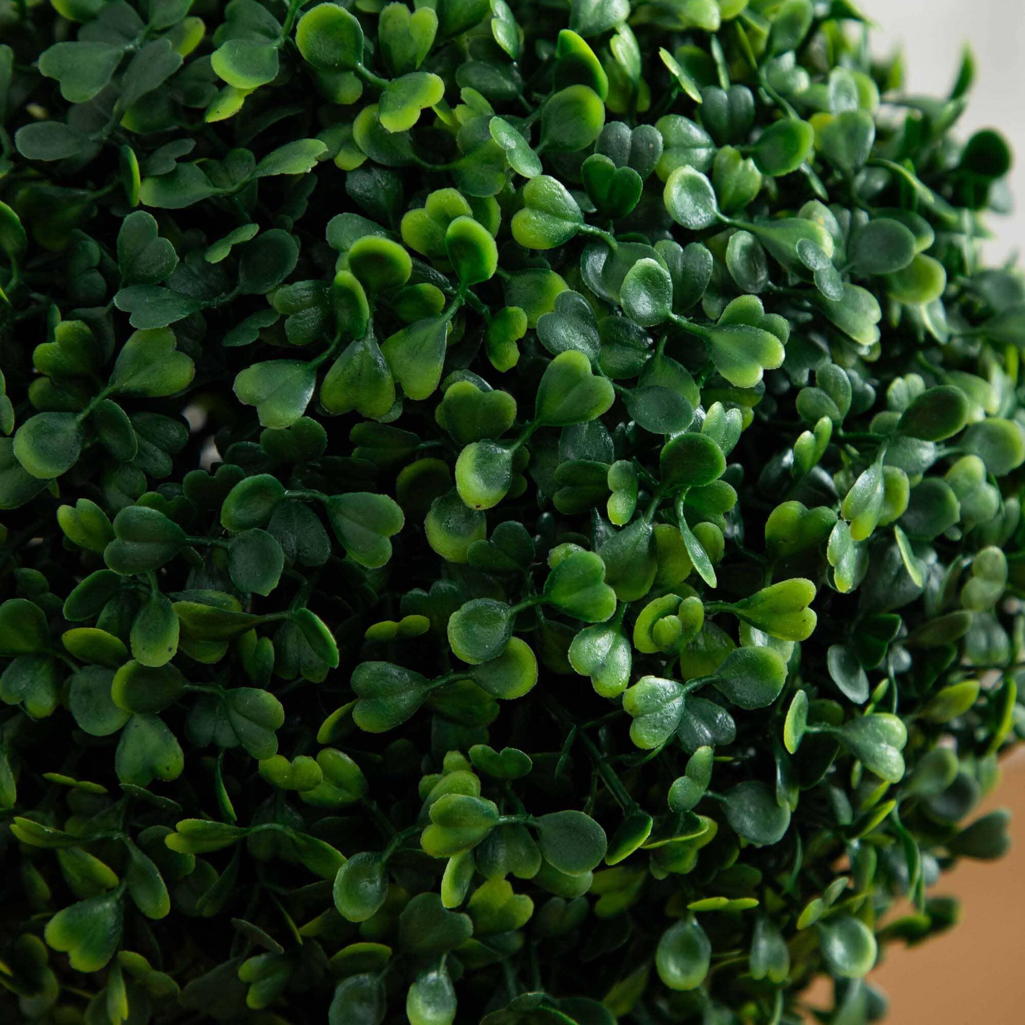 35” Double Boxwood Topiary - Image 2
