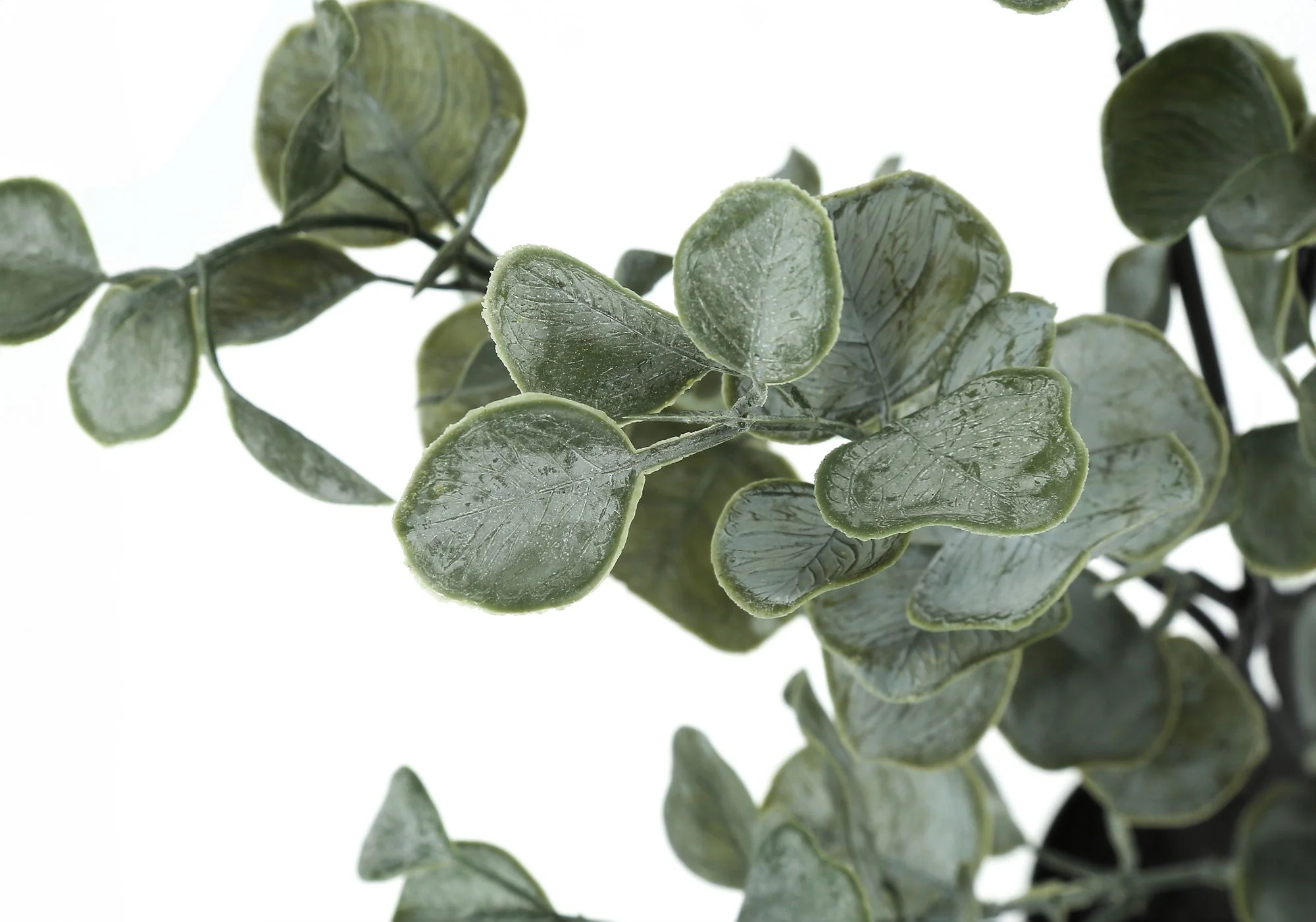 35" Tall, Artificial Plant, Eucalyptus Tree, Indoor, Faux, Fake, Floor, Greenery, Potted, Decorative - Green / Black - Image 4
