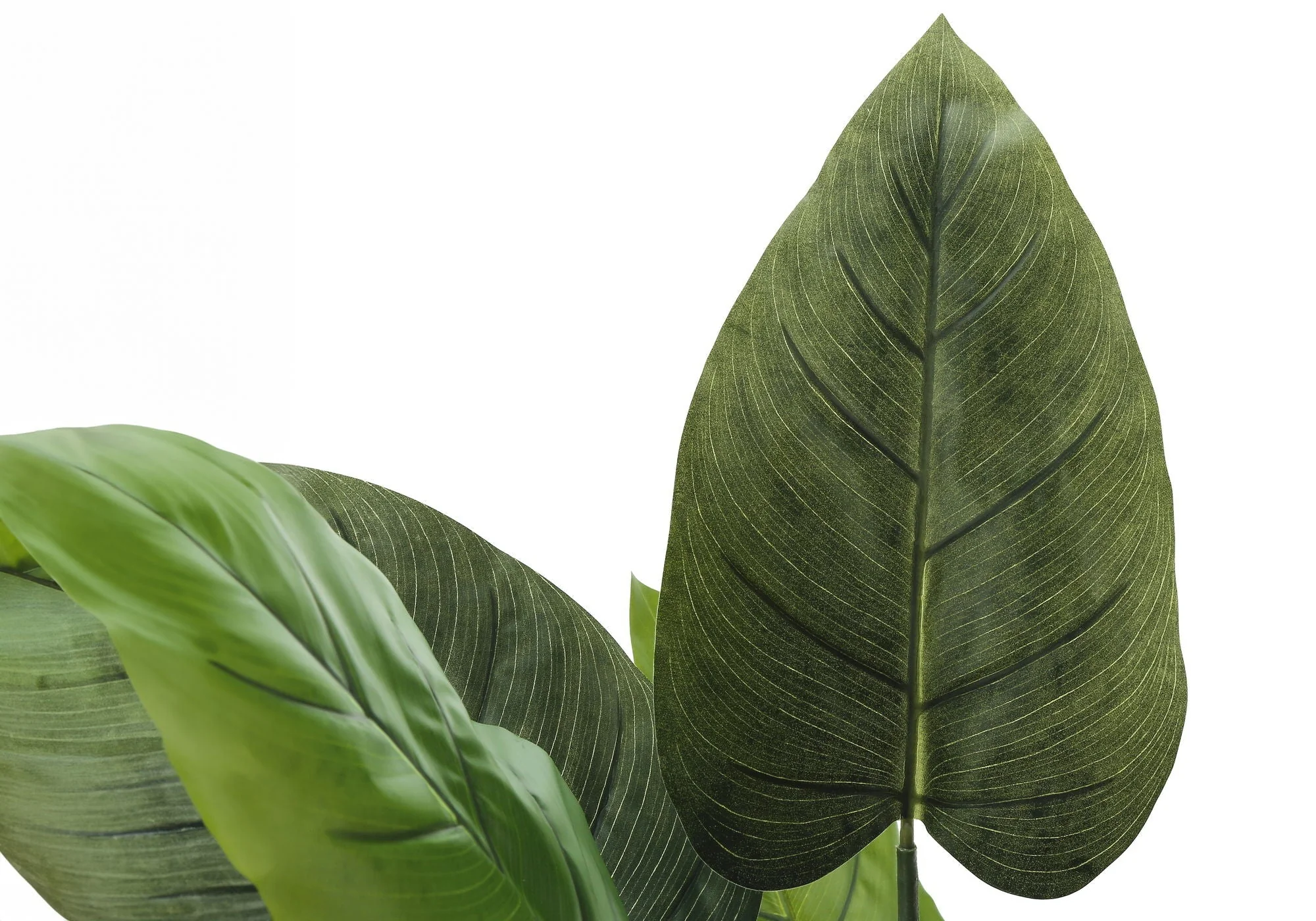 37" Tall, Artificial Plant, Aureum Tree, Indoor, Faux, Fake, Floor, Greenery, Potted, Real Touch, Decorative - Green / Black - Image 3
