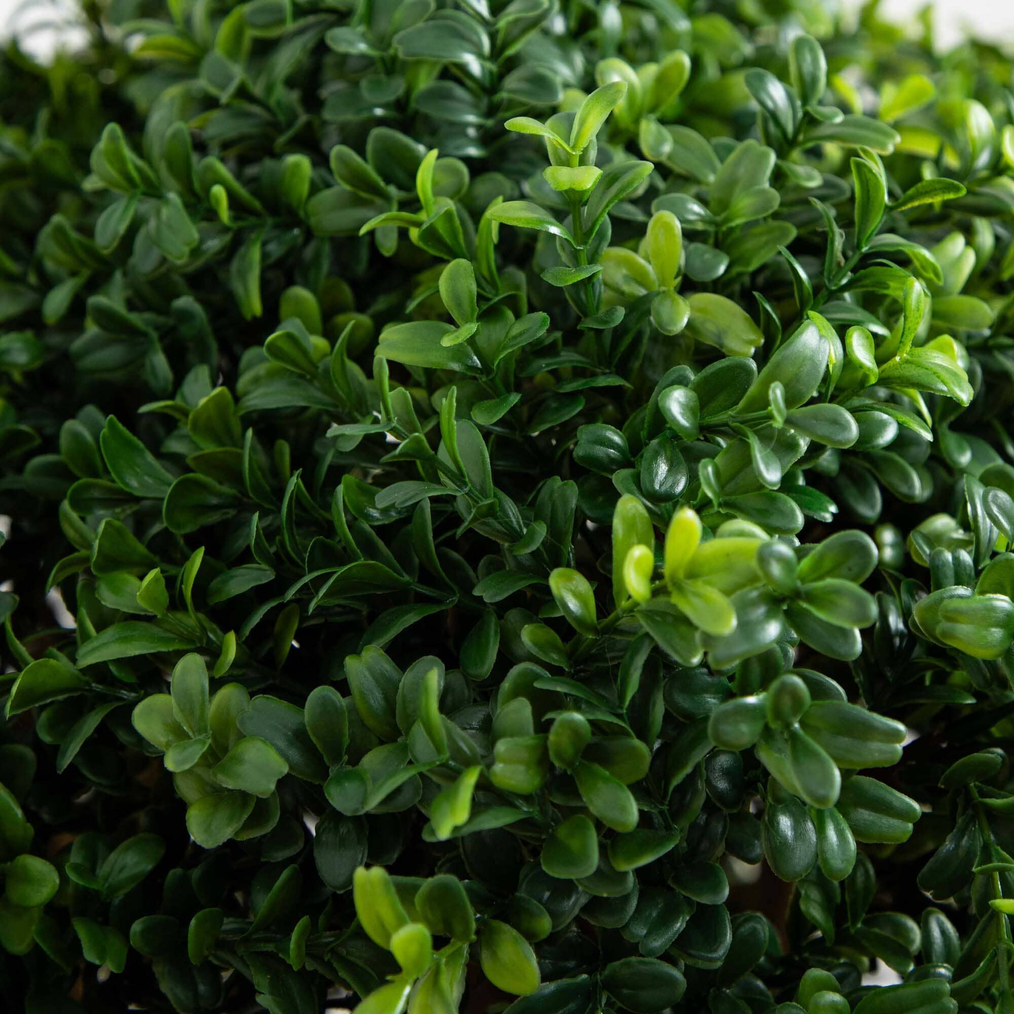 38” Boxwood Artificial Topiary Tree in Decorative Bowl (Indoor/Outdoor) - Image 2