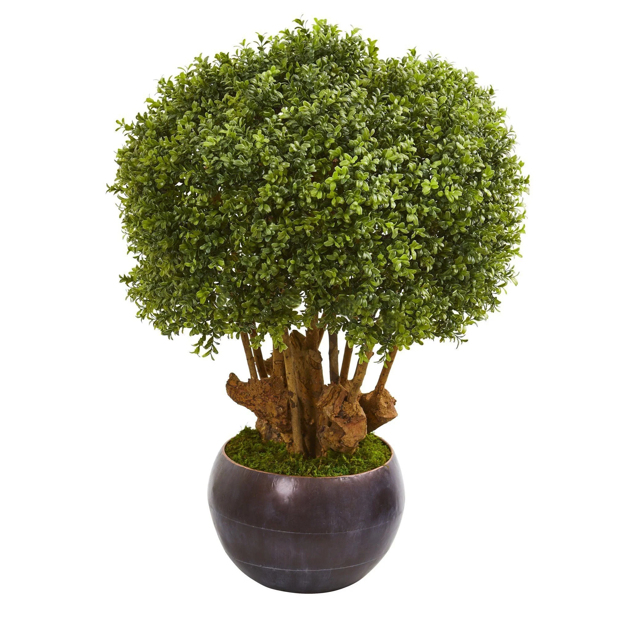 38” Boxwood Artificial Topiary Tree in Decorative Bowl (Indoor/Outdoor) - Image 5