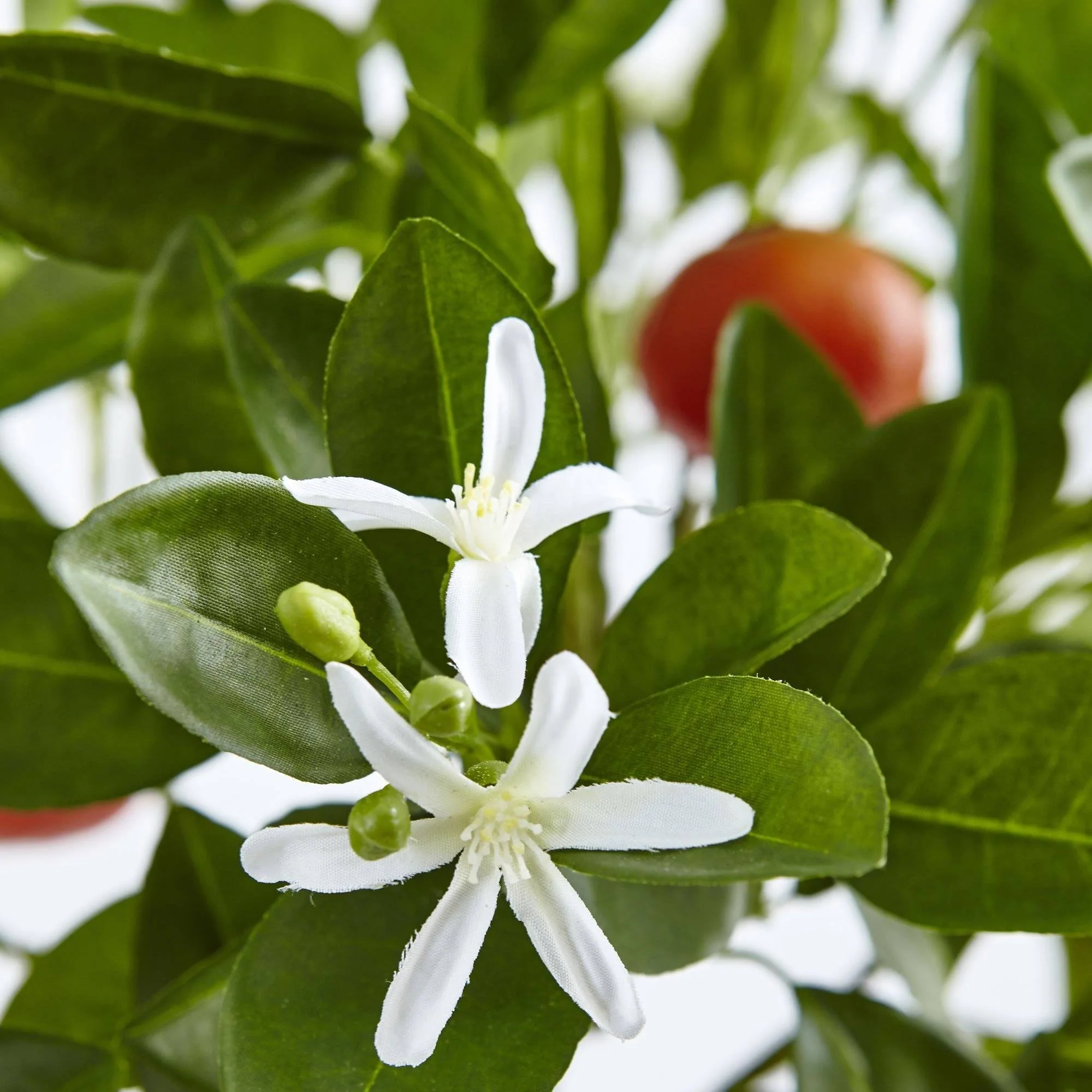 38'' Potted Orange Tree - Image 2