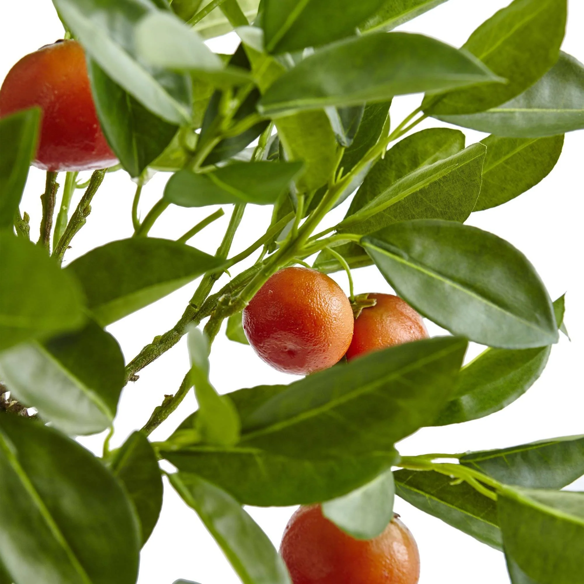 38'' Potted Orange Tree - Image 3