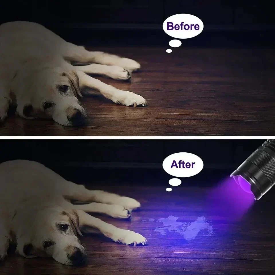 395nm UV Flashlight LED Black Light Pet Urine Stain Detector Torch - Image 5