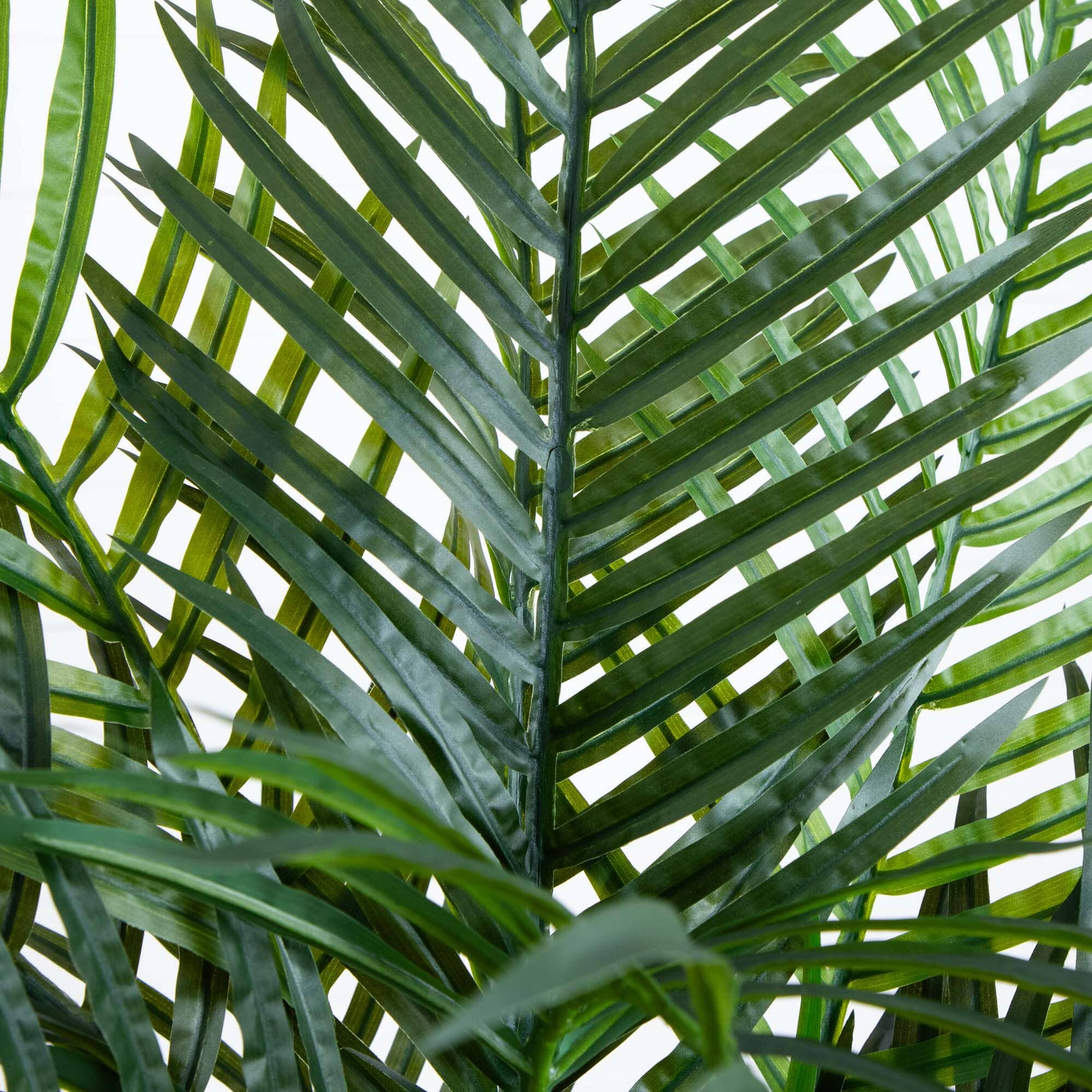 4.5' Areca Palm UV Resistant (Indoor/Outdoor) - Image 2