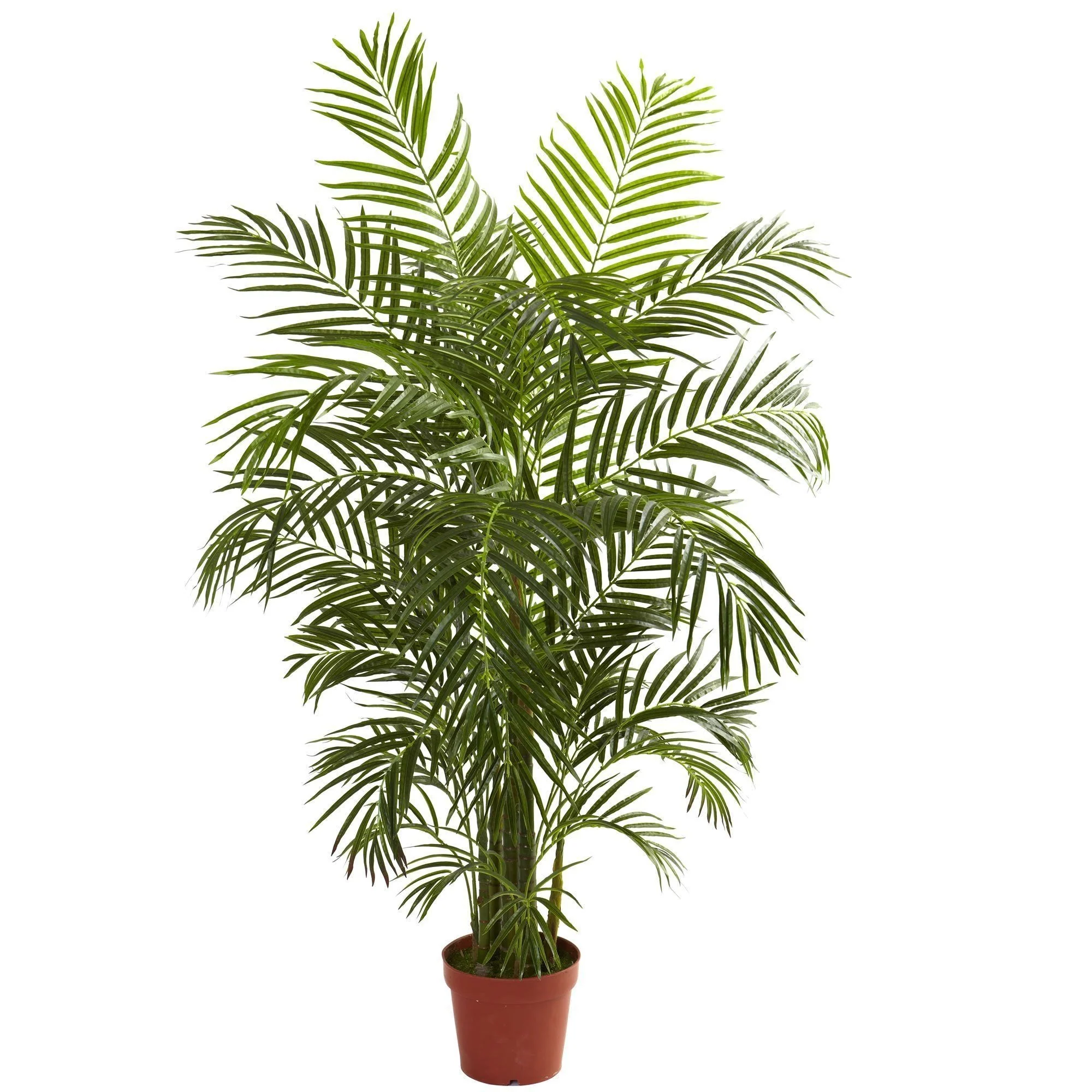 4.5' Areca Palm UV Resistant (Indoor/Outdoor) - Image 4