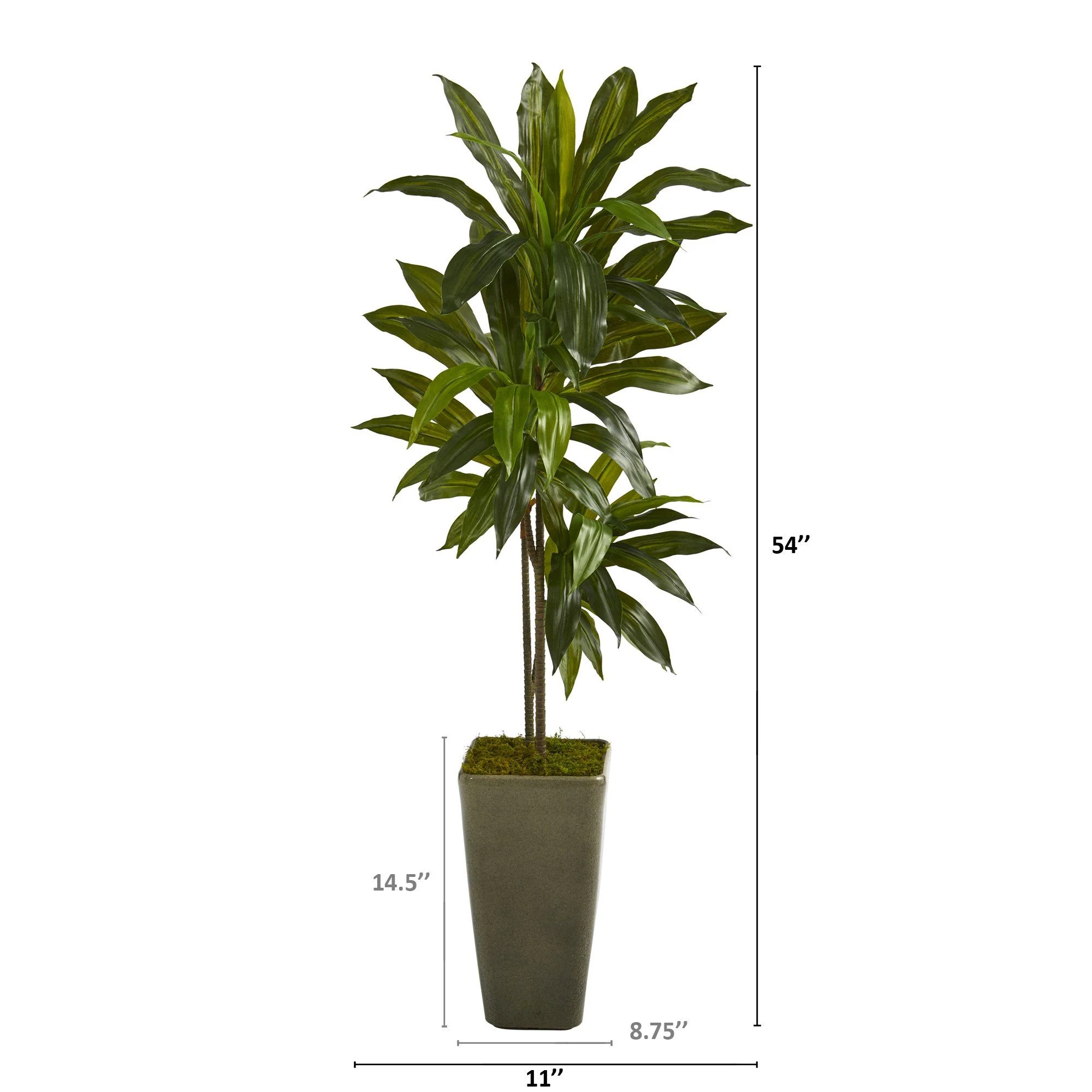 4.5’ Dracaena Artificial Plant in Green Planter (Real Touch) - Image 2