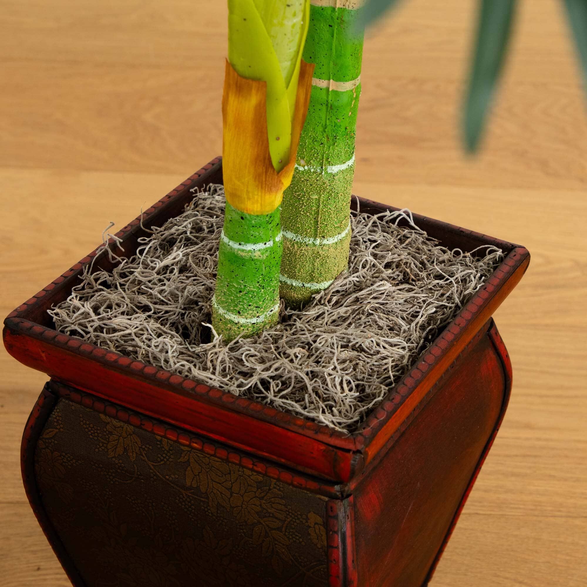 4.5’ Golden Cane Palm w/Decorative Container - Image 4