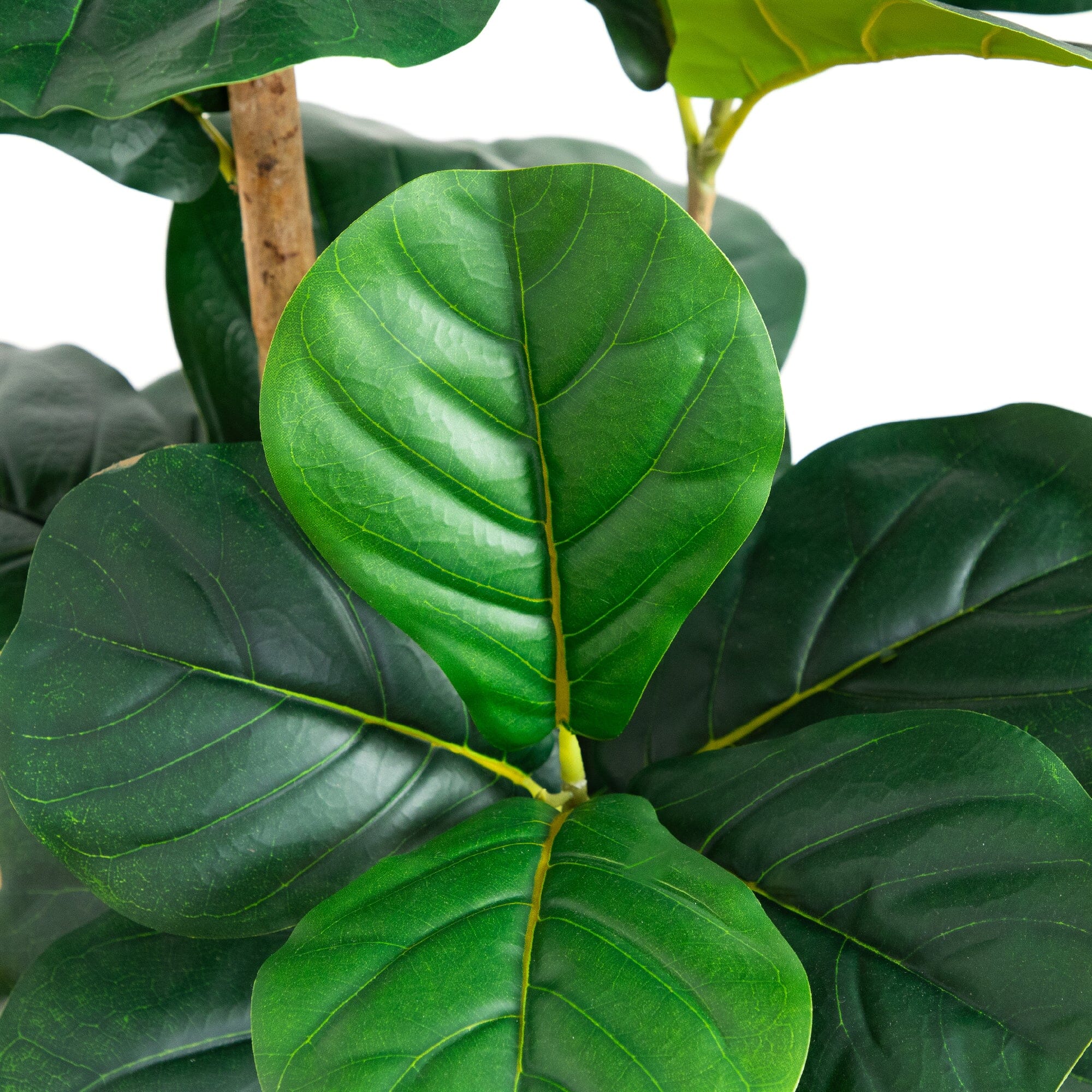 4’ Artificial Fiddle Leaf Tree in Decorative White Planter - Image 2