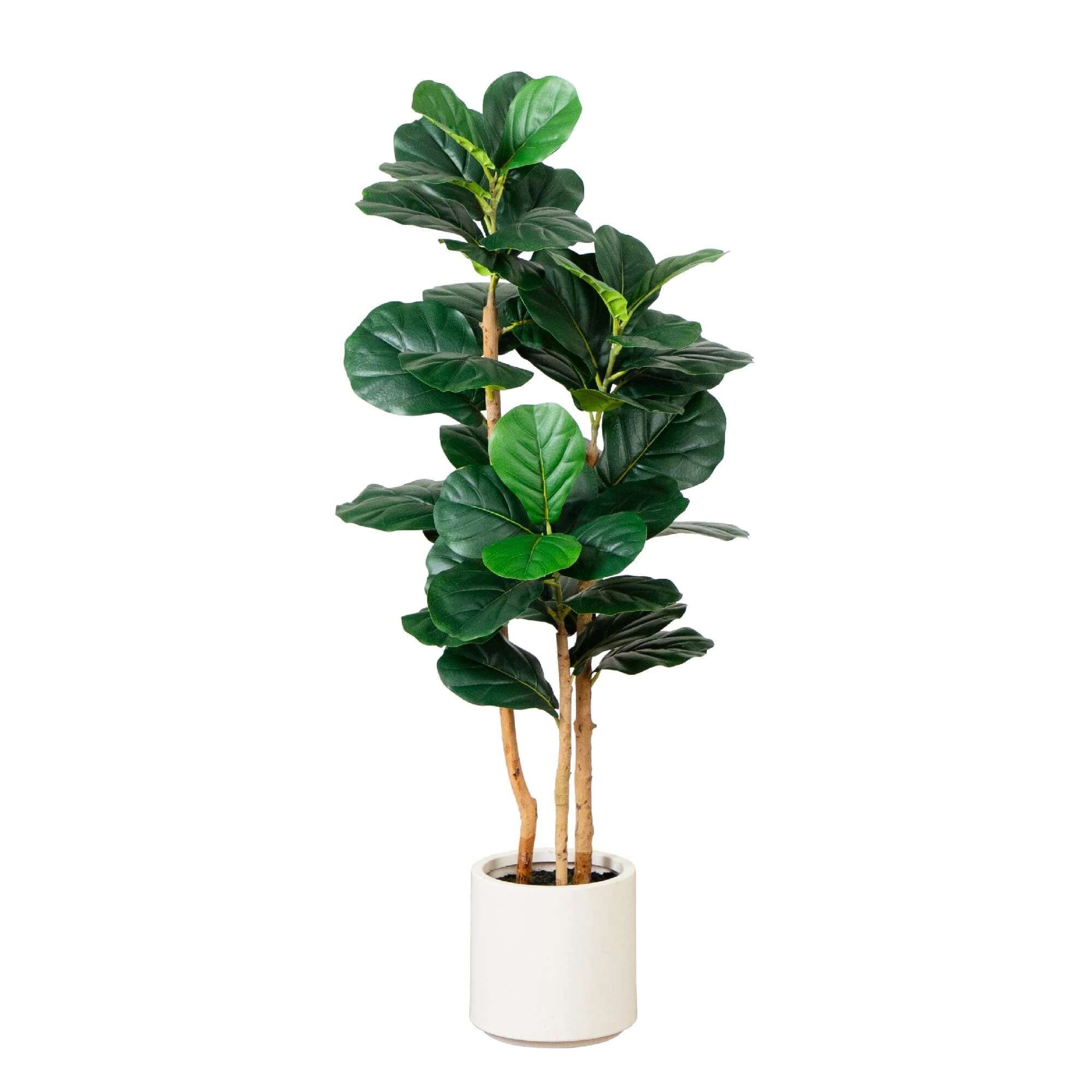 4’ Artificial Fiddle Leaf Tree in Decorative White Planter - Image 8