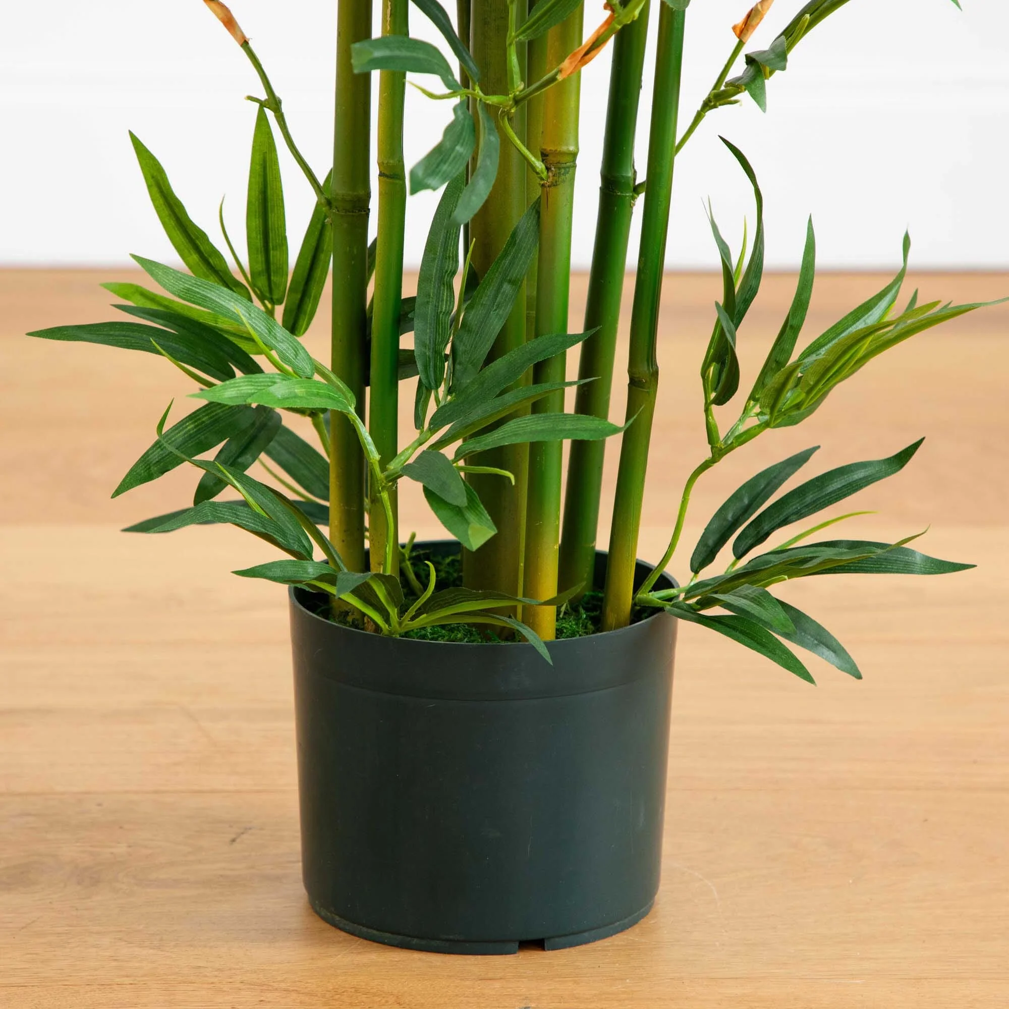 4' Bamboo Silk Plant - Image 3