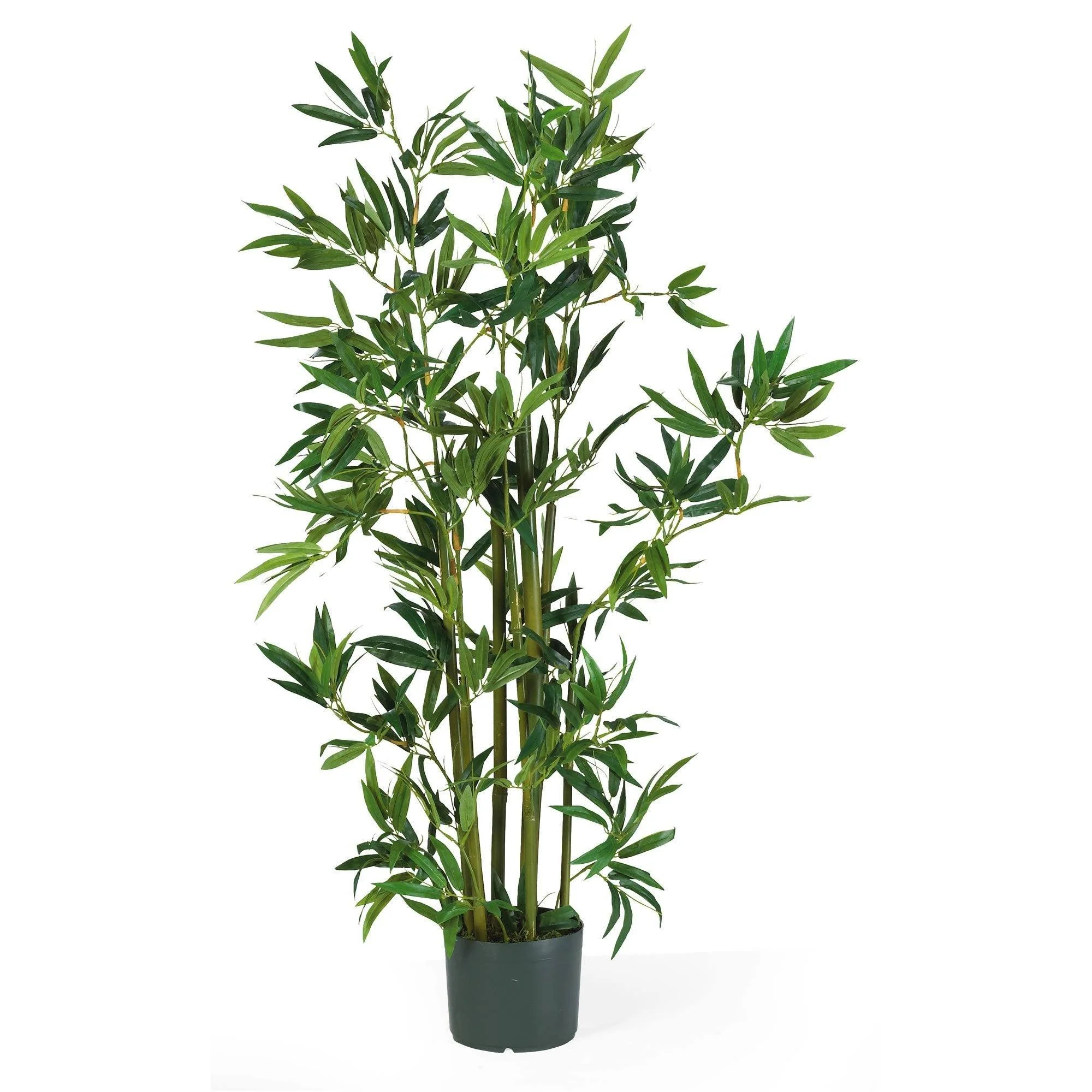 4' Bamboo Silk Plant - Image 5