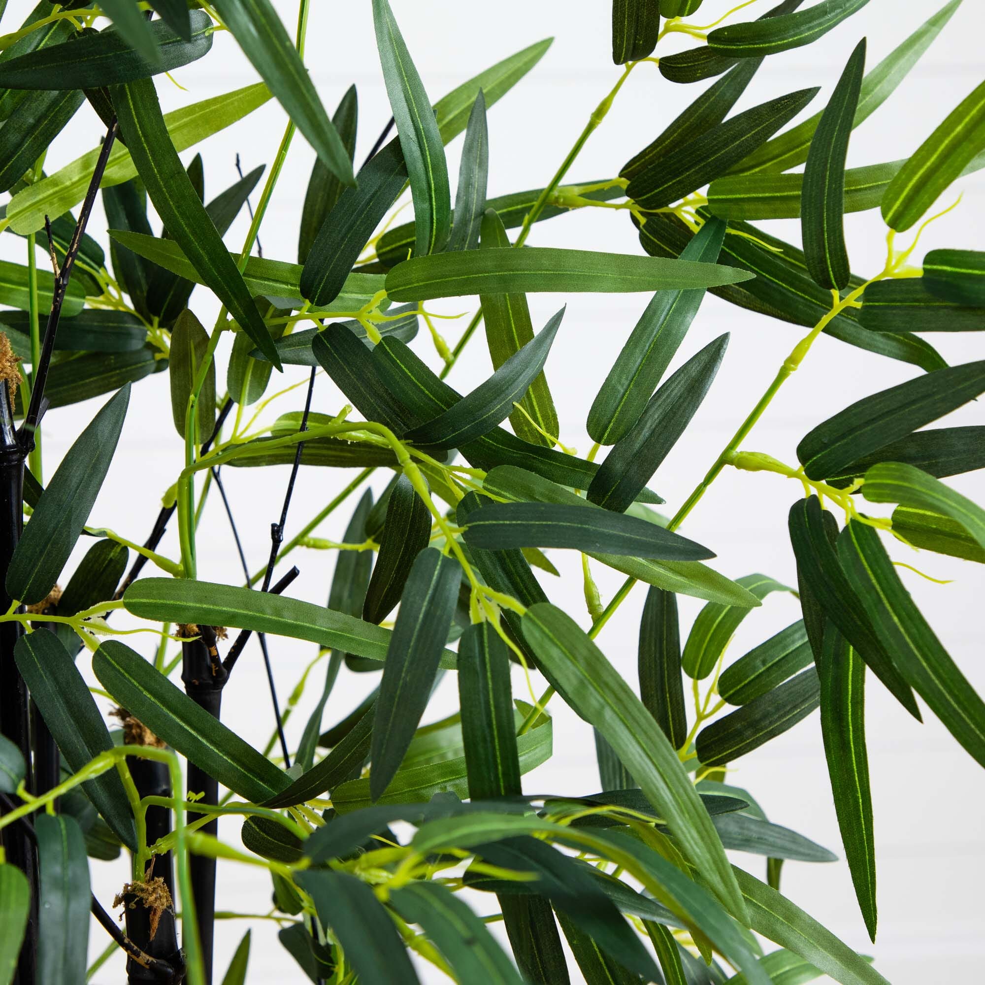 4’ Black Bamboo Tree - Image 2