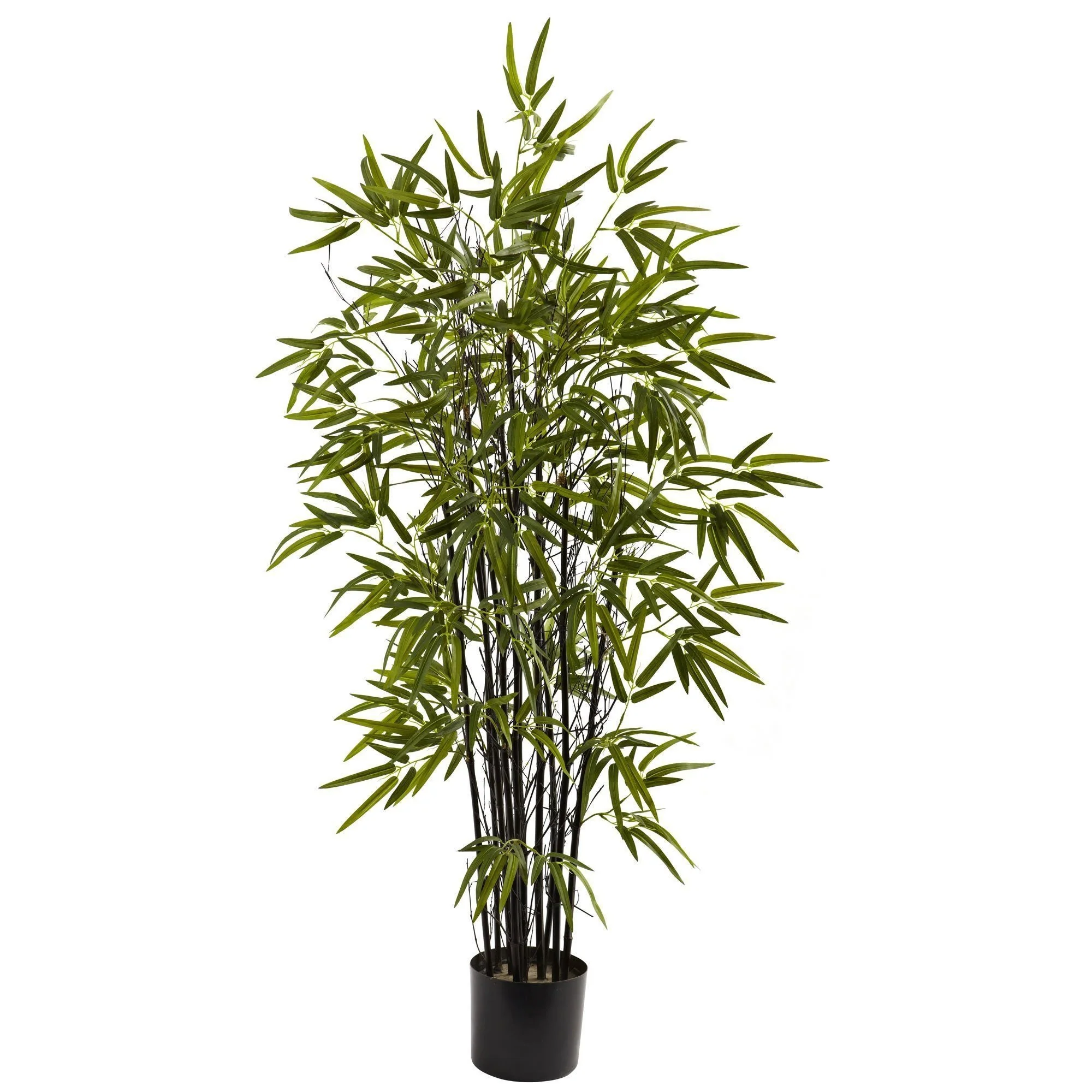 4’ Black Bamboo Tree - Image 4