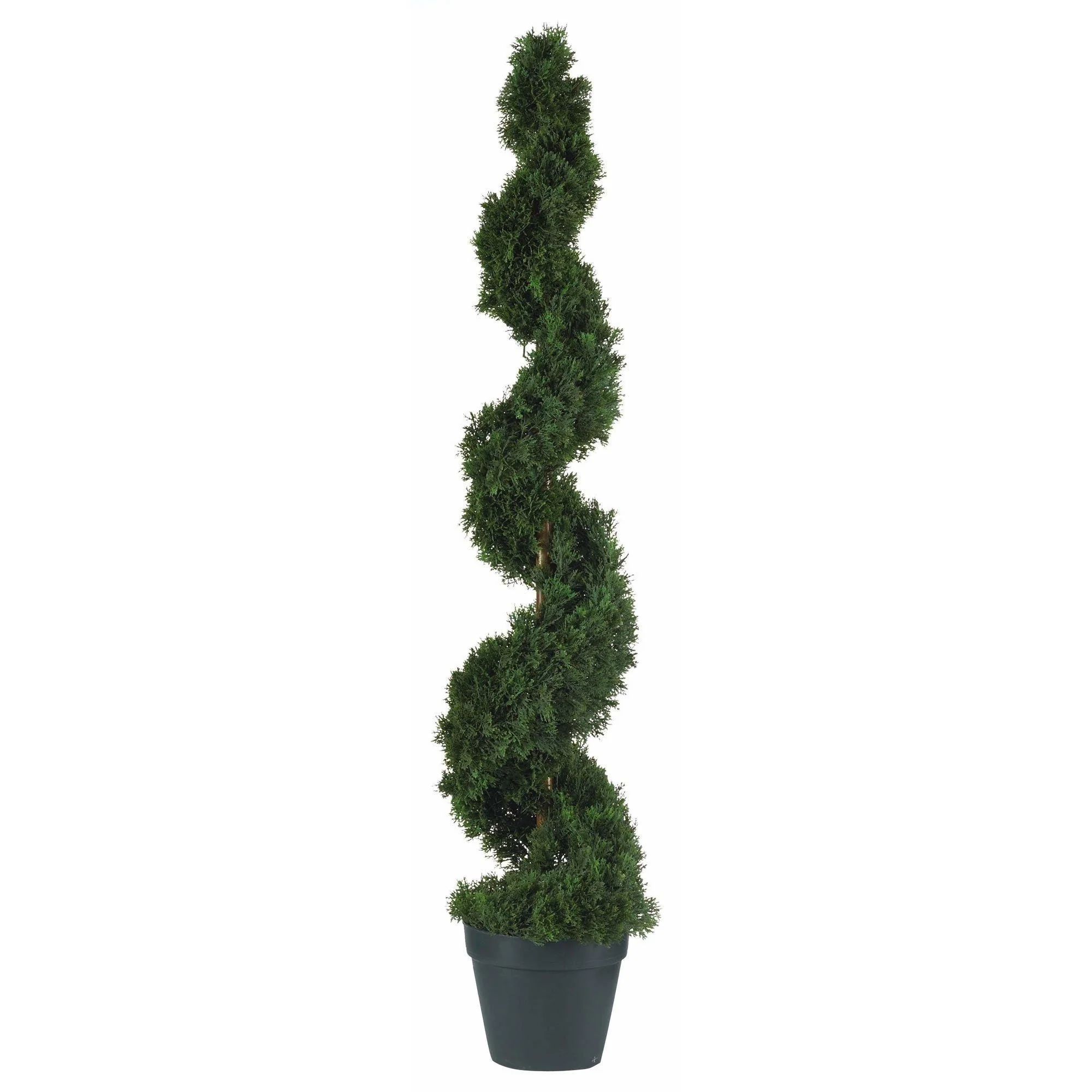 4' Cedar Spiral Silk Tree (In-door/Out-door) - Image 3
