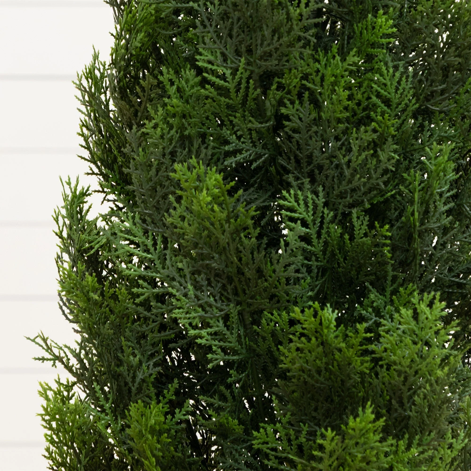 4' Cedar Tree Silk Tree (Indoor/Outdoor) - Image 2