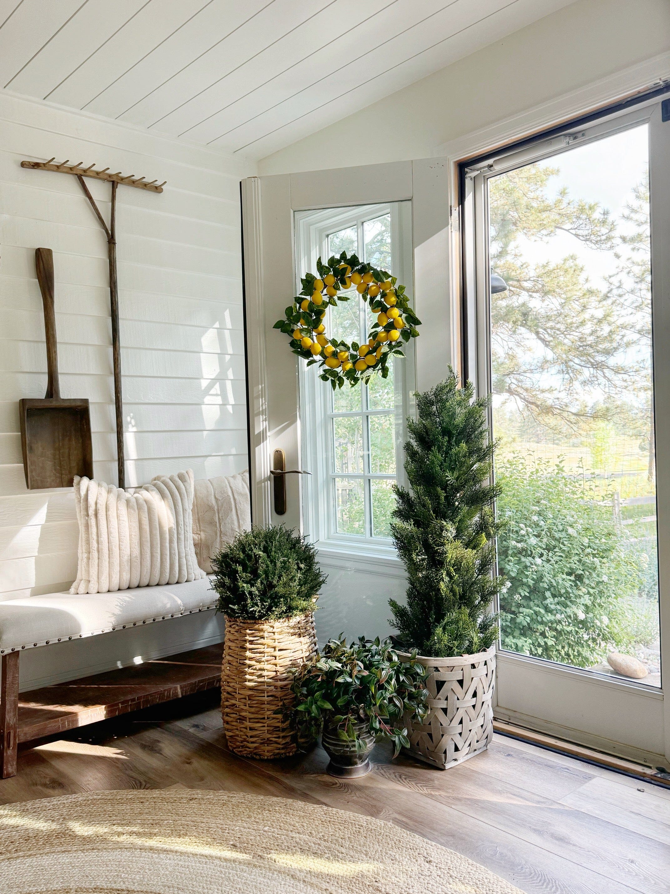 4' Cedar Tree Silk Tree (Indoor/Outdoor) - Image 4