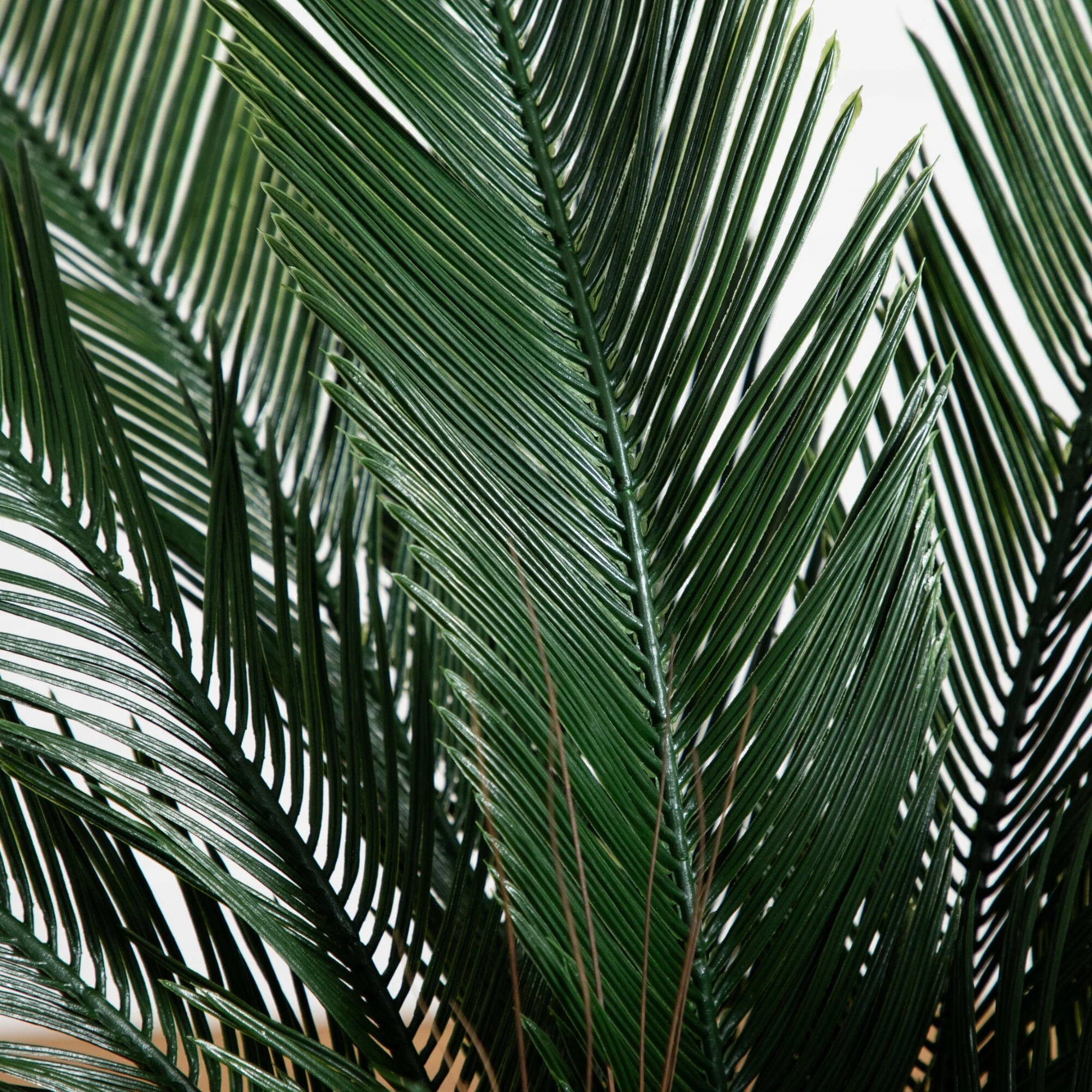 4’ Cycas Tree UV Resistant (Indoor/Outdoor) - Image 2