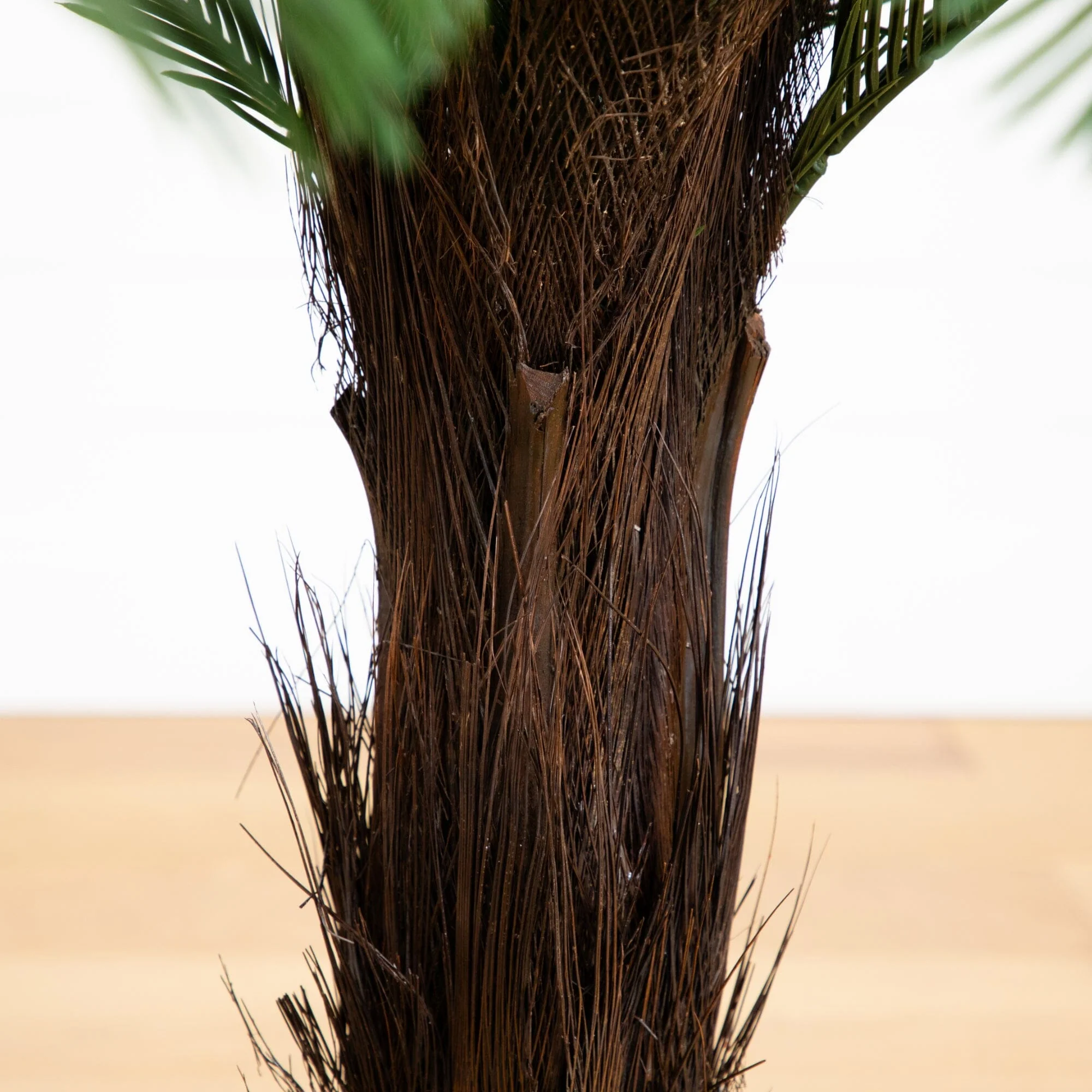 4’ Cycas Tree UV Resistant (Indoor/Outdoor) - Image 3