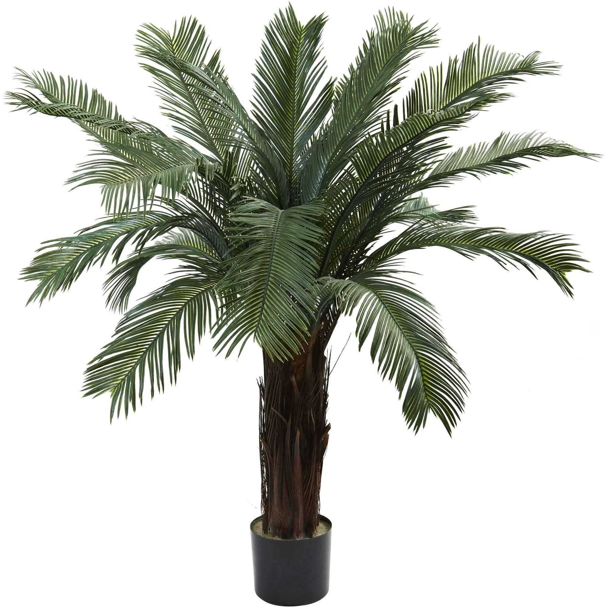4’ Cycas Tree UV Resistant (Indoor/Outdoor) - Image 4