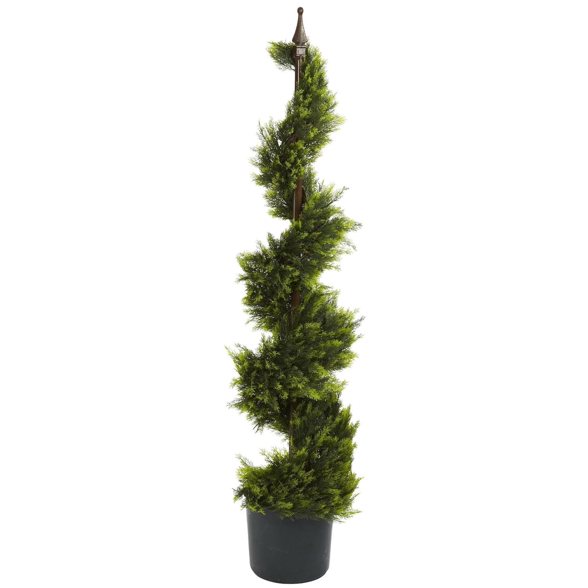4' Cypress Spirial Silk Tree - Image 3