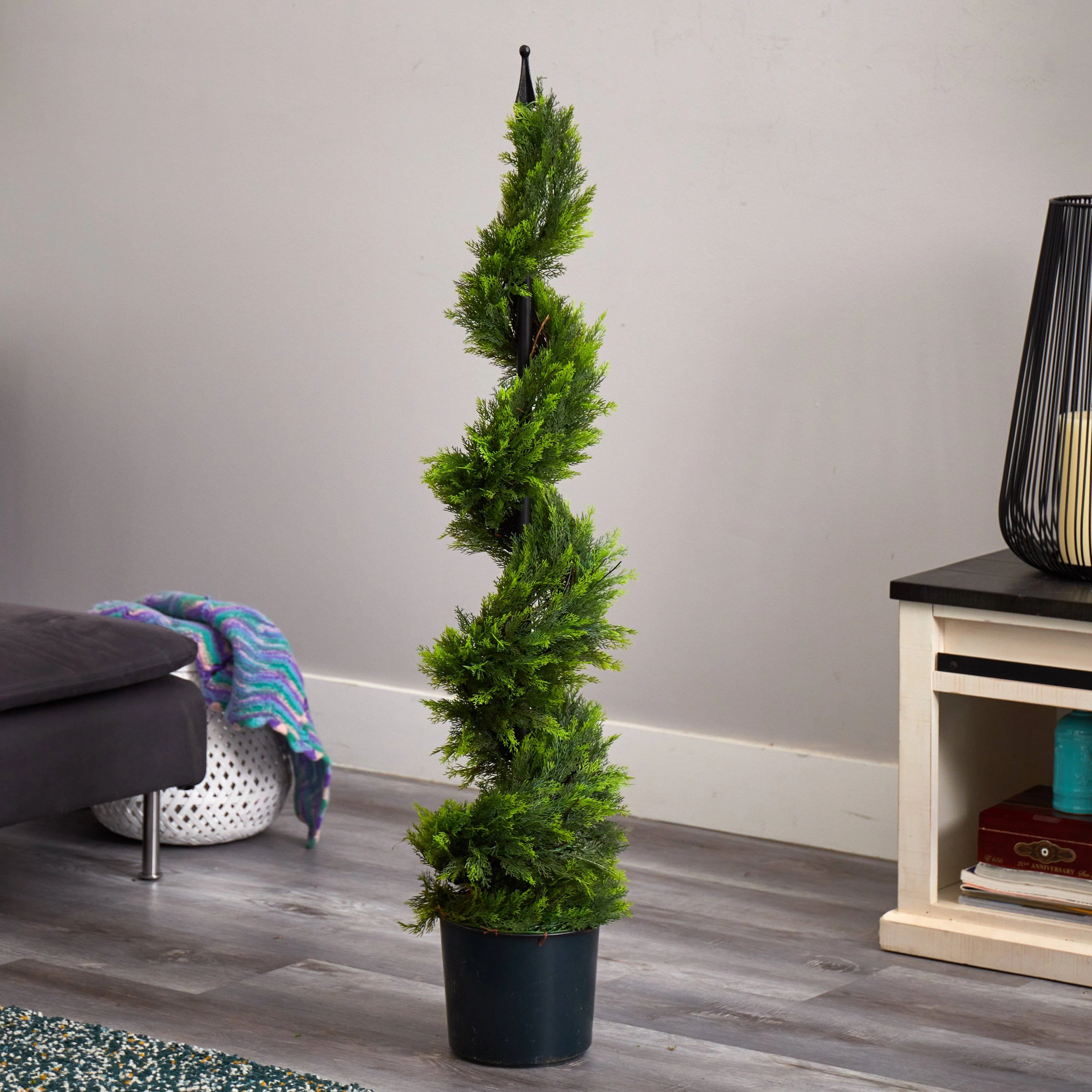 4' Cypress Spirial Silk Tree - Image 5