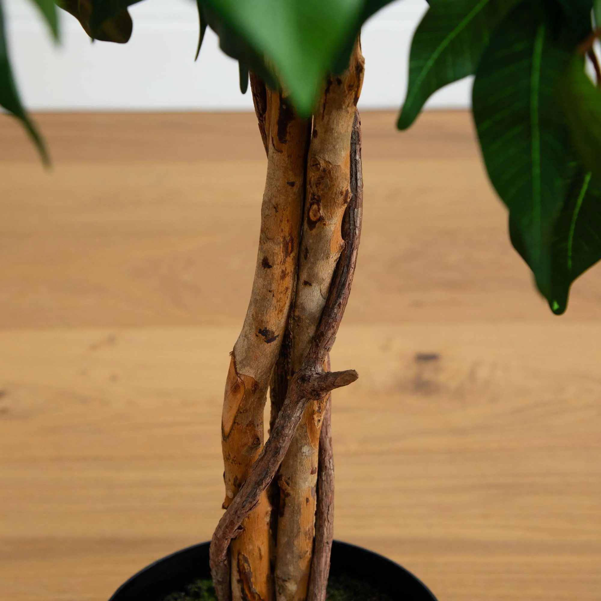 4' Ficus Auriculata Artificial Silk Tree - Image 3