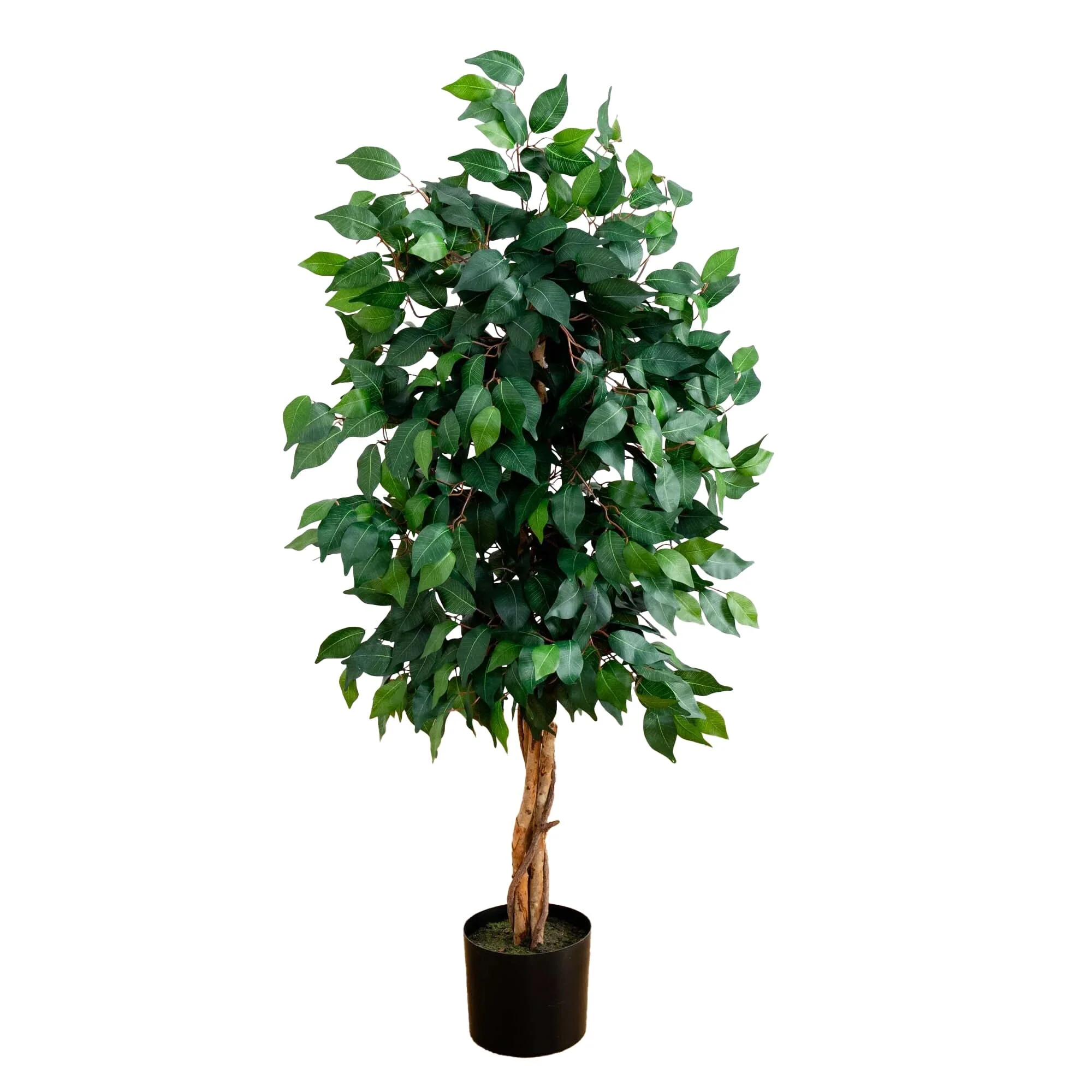 4' Ficus Auriculata Artificial Silk Tree - Image 5