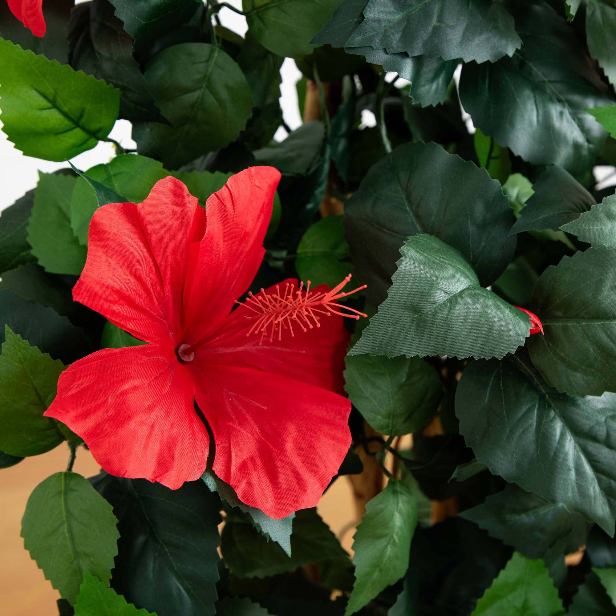 4’ Hibiscus Tree - Image 2