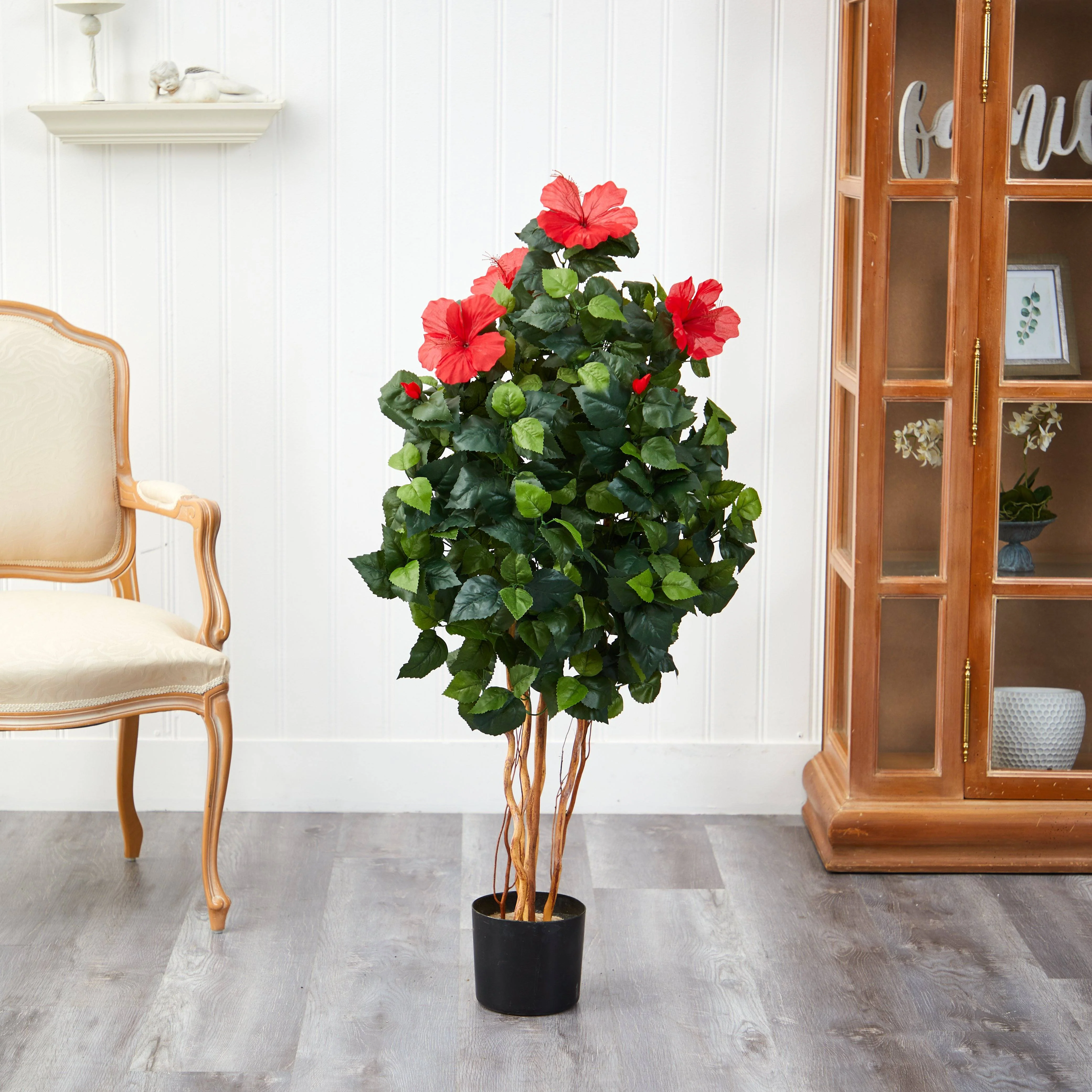 4’ Hibiscus Tree - Image 4