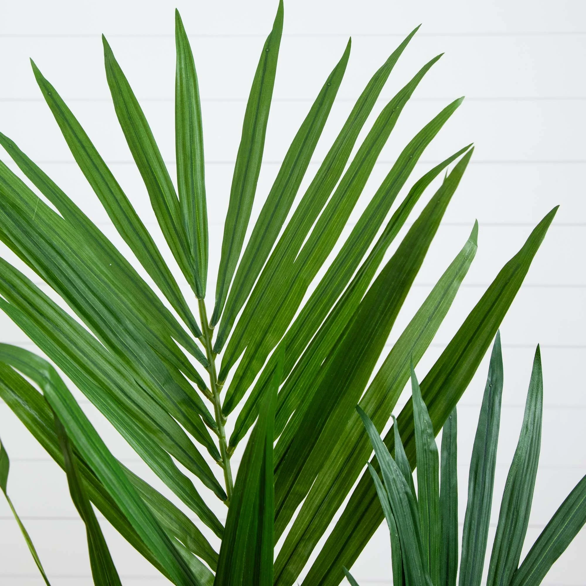 4' Kentia Palm Artificial Silk Tree - Image 2