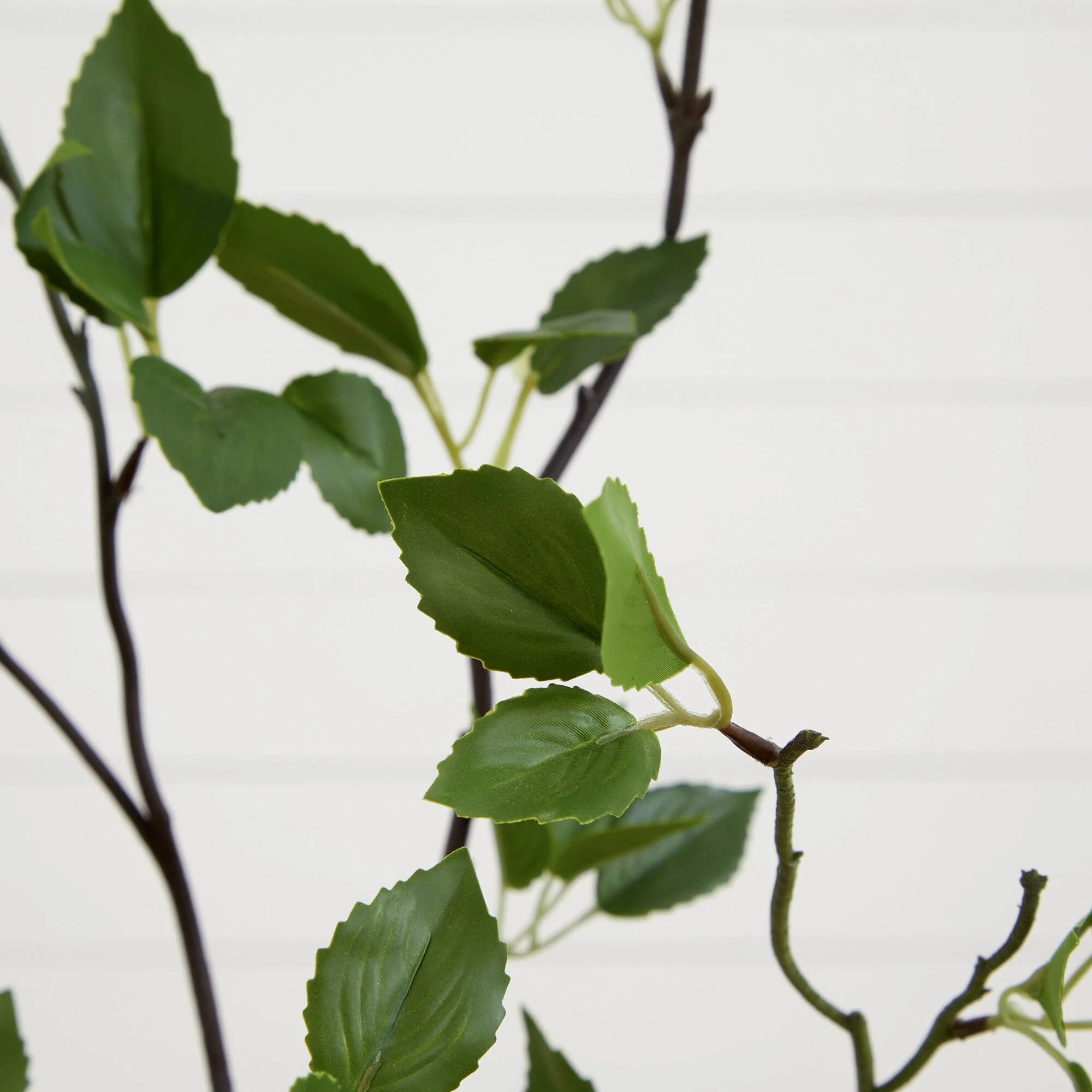 4' Minimalist Citrus Artificial Tree - Image 2
