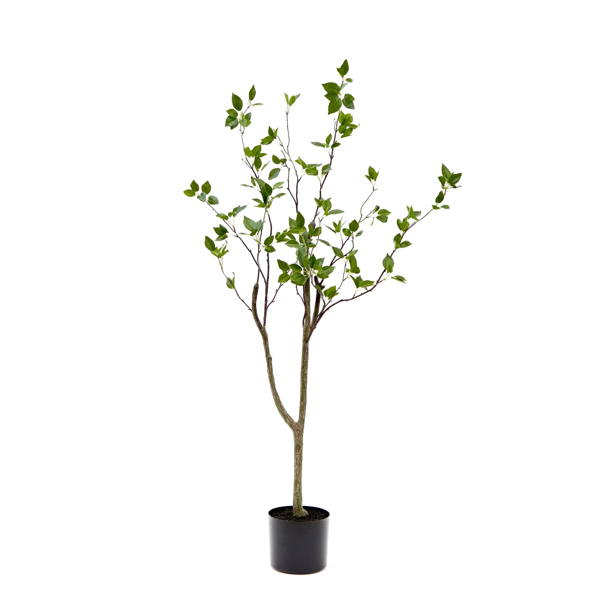 4' Minimalist Citrus Artificial Tree - Image 6