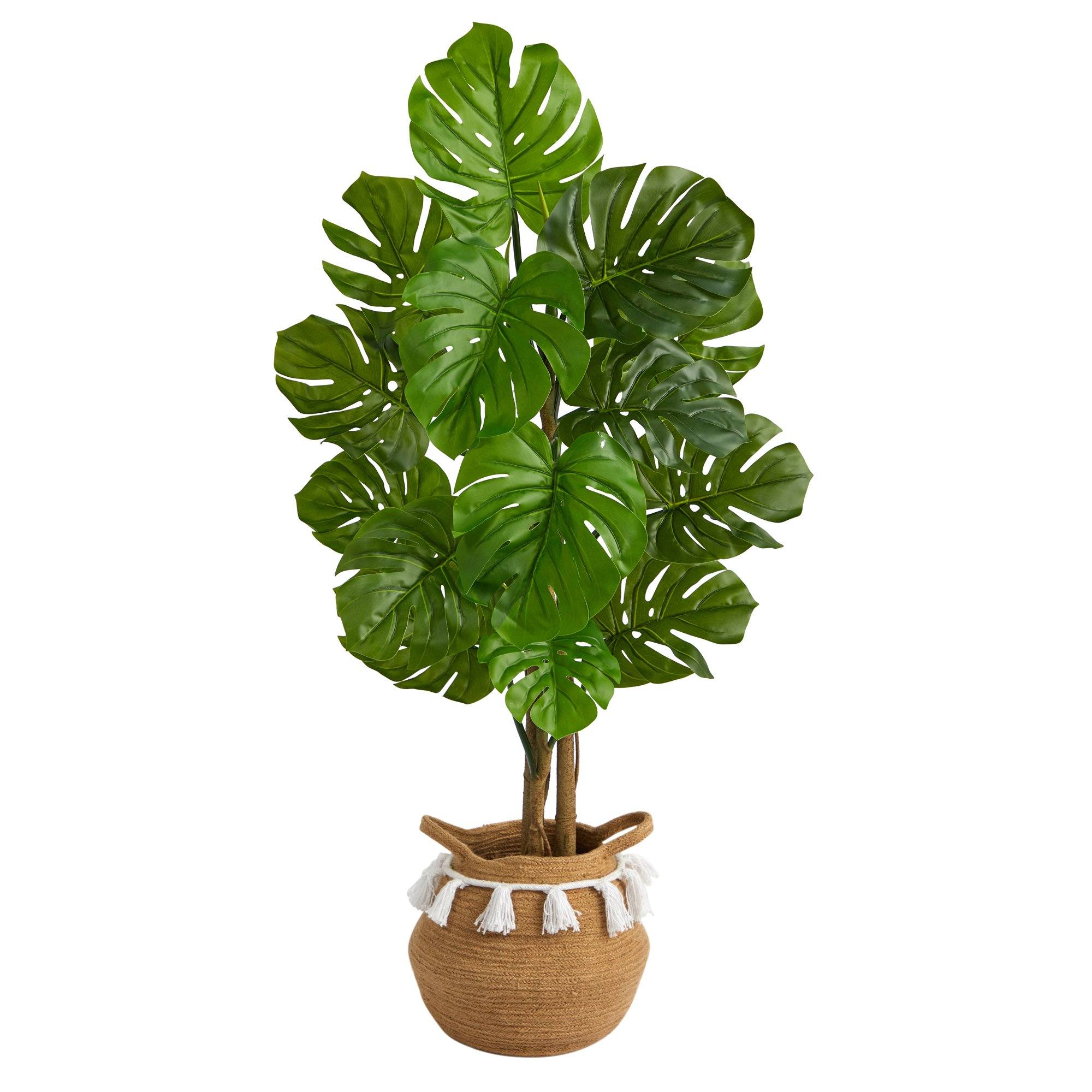 4’ Monstera Tree in Boho Chic Handmade Natural Cotton Woven Planter with Tassels UV Resistant - Image 2