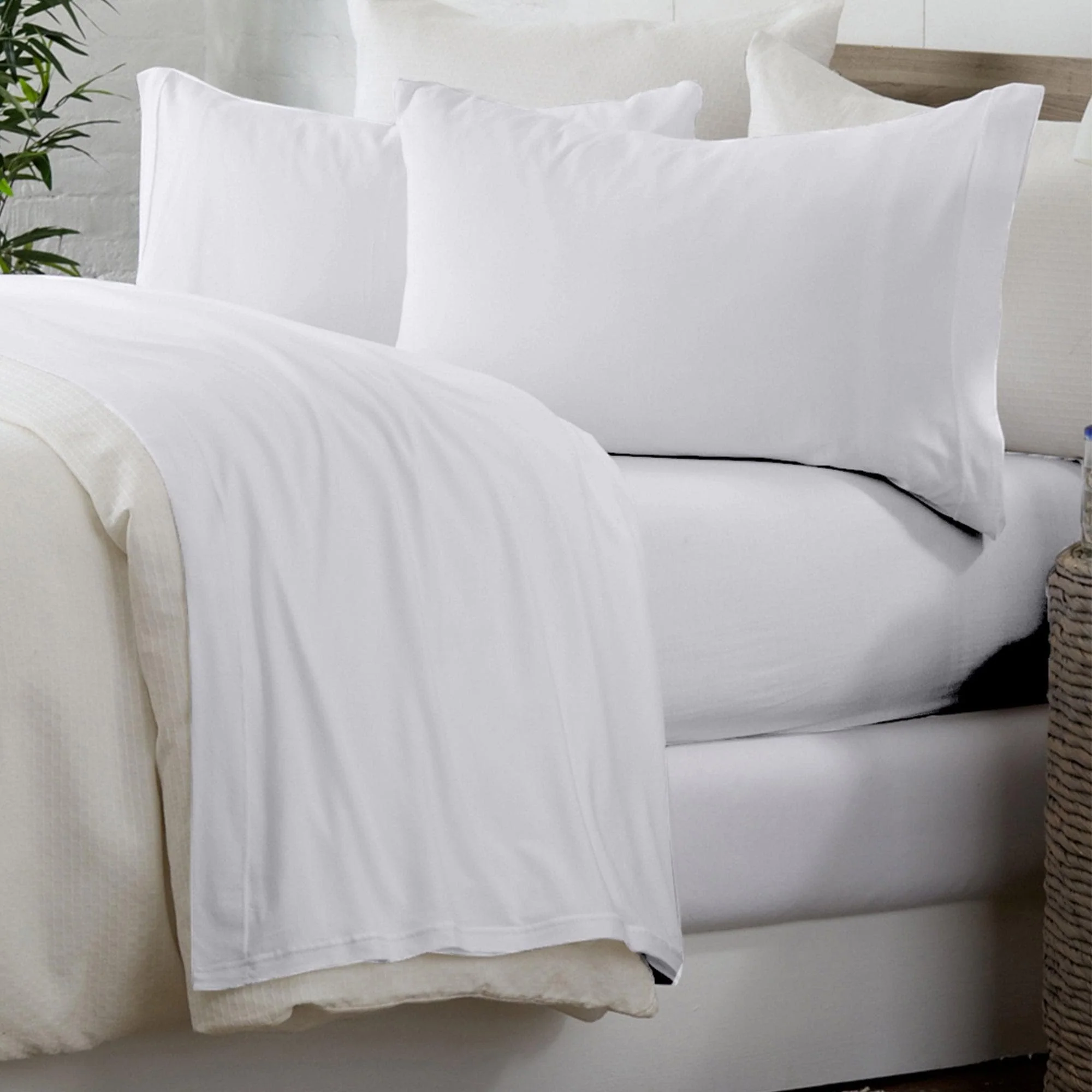4-Piece Cotton Sheet Set - Murphy Collection - Image 12
