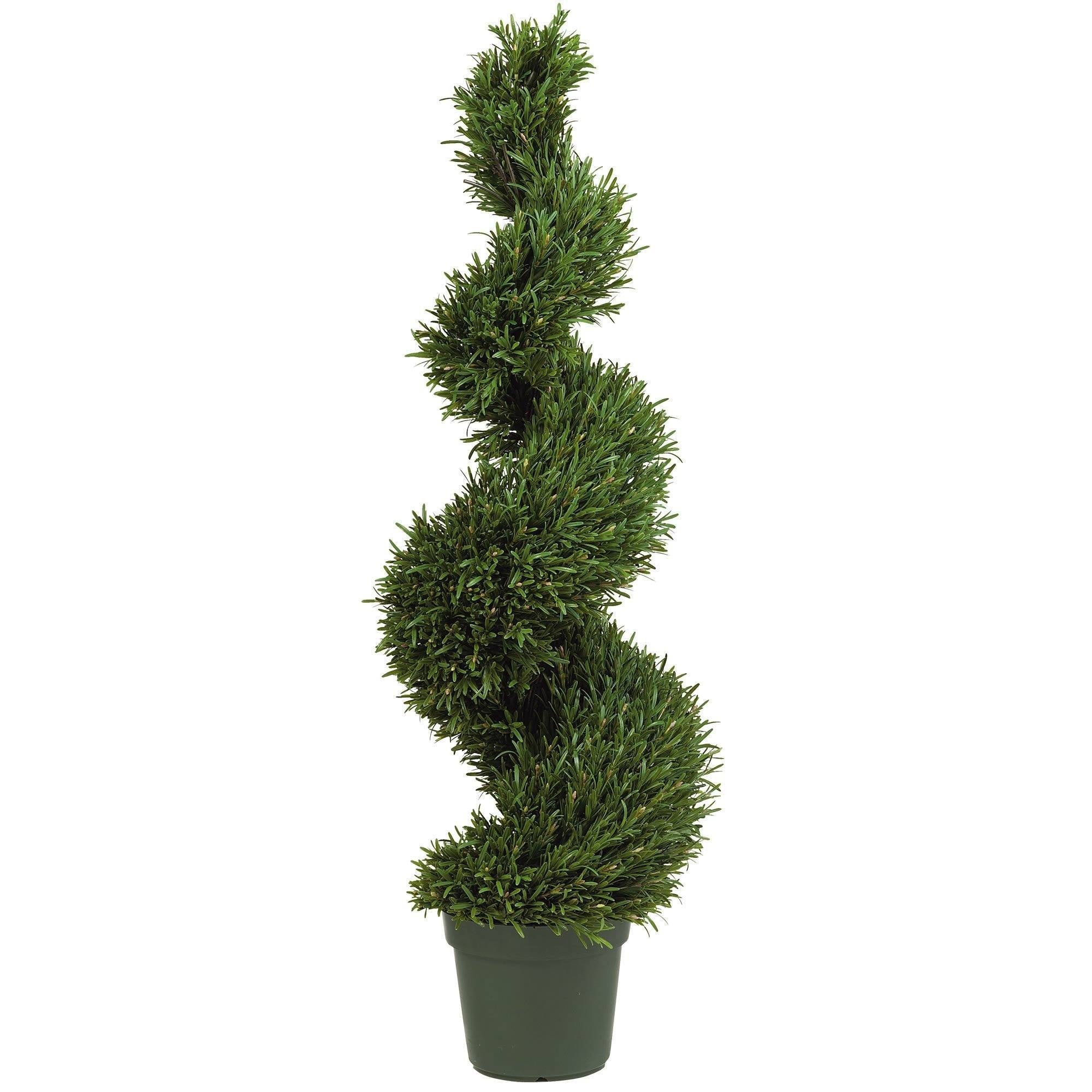 4' Rosemary Spiral Silk Tree (Indoor/Outdoor) - Image 3