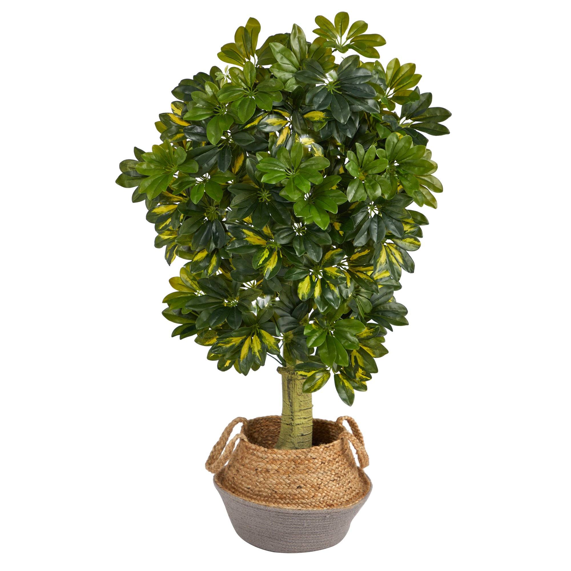 4’ Schefflera Artificial Tree in Boho Chic Handmade Cotton & Jute Gray Woven Planter (Real Touch) - Image 2