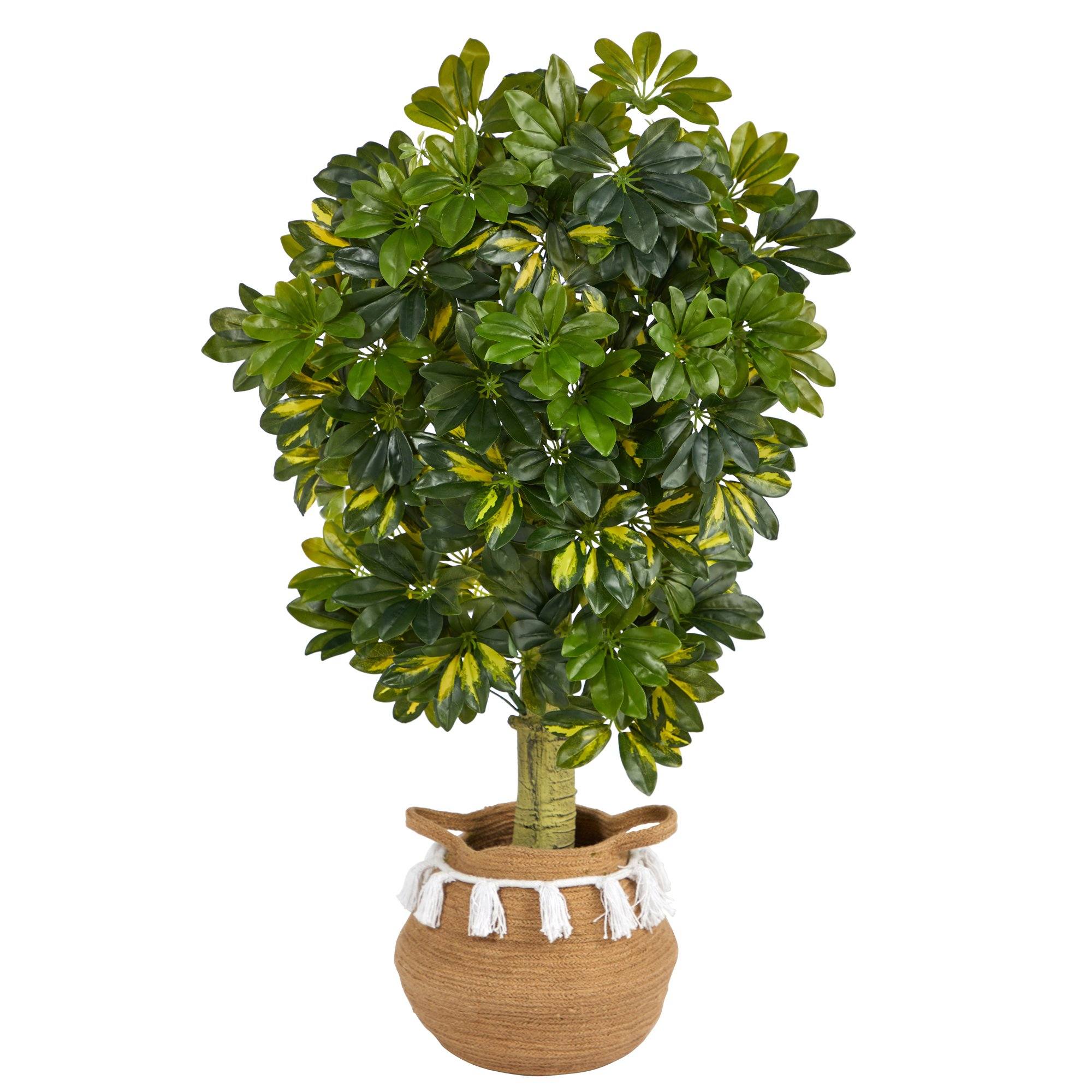 4’ Schefflera Tree in Boho Chic Handmade Natural Cotton Woven Planter with Tassels (Real Touch) - Image 2